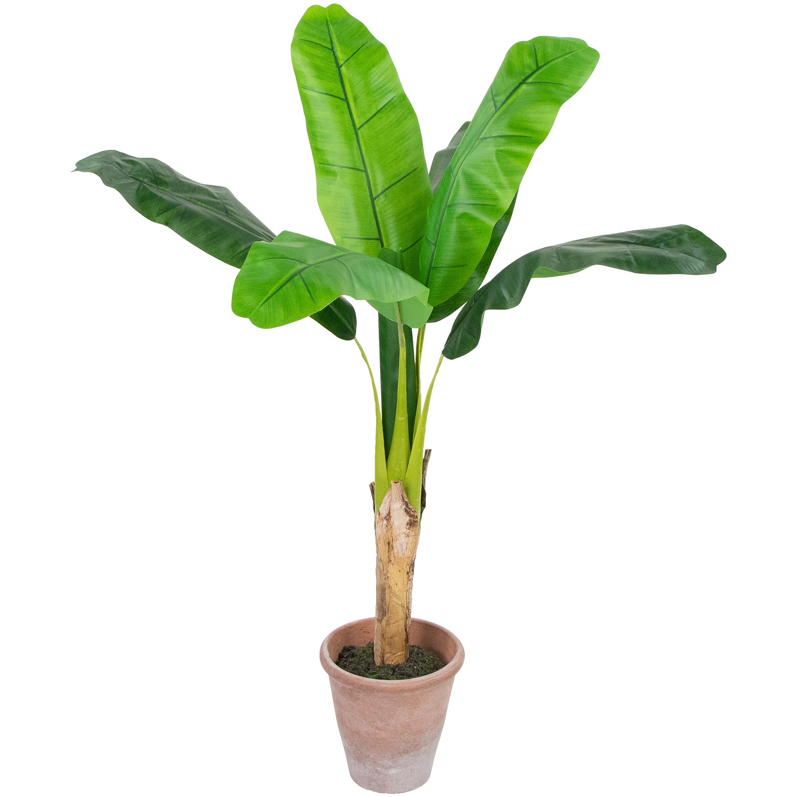 Northlight 4′ Artificial Tropical Banana Tree in a Clay Pot