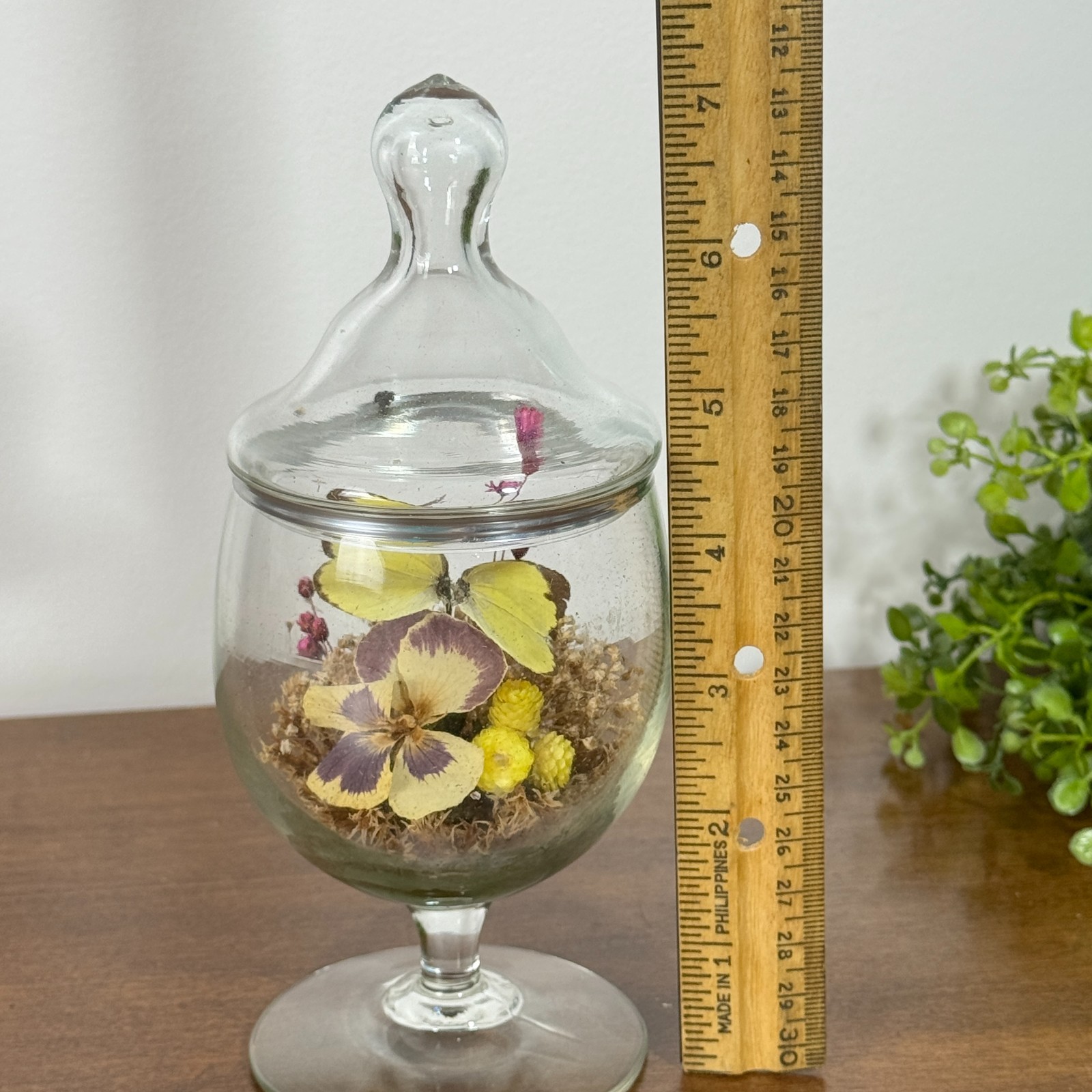 Vintage Glass Cloche Dome Dried Flowers Butterfly Terrarium Apothecary Decor