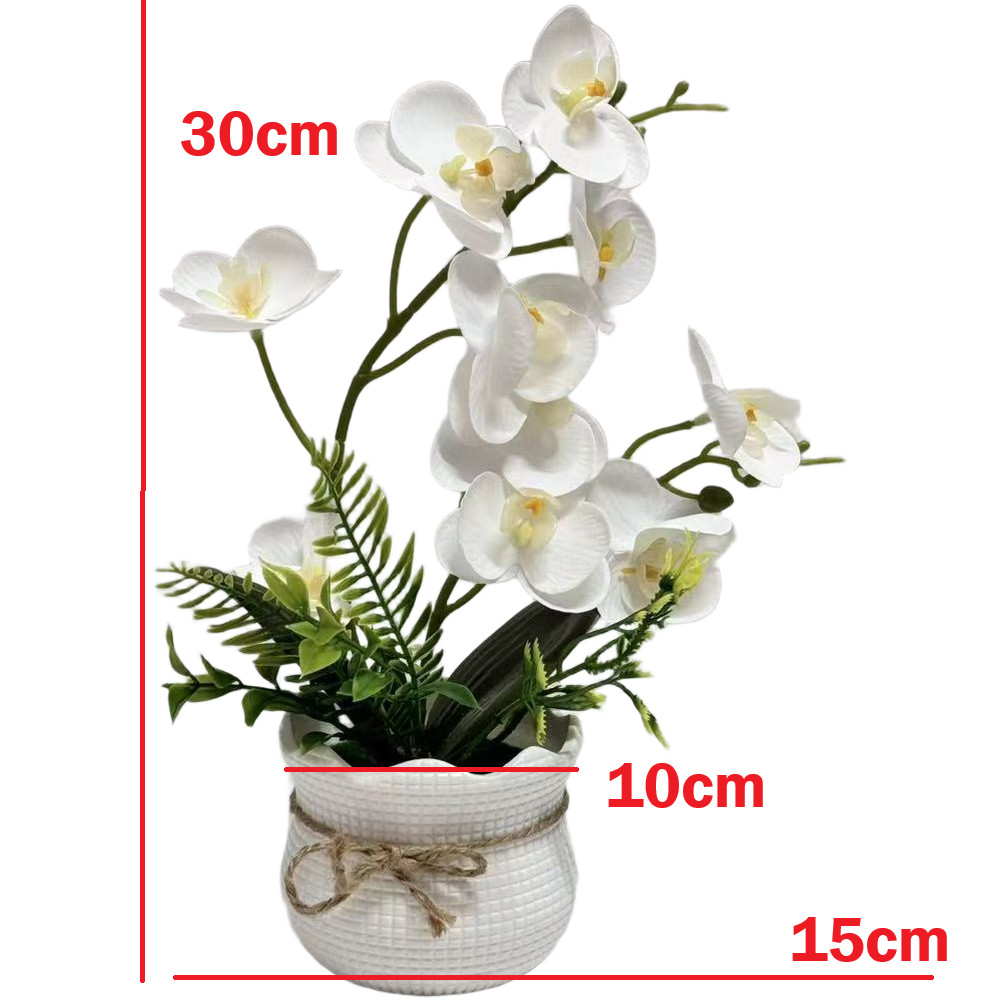 White Artificial Orchid Flower for All Season Indoor Decor with 30cm Height
