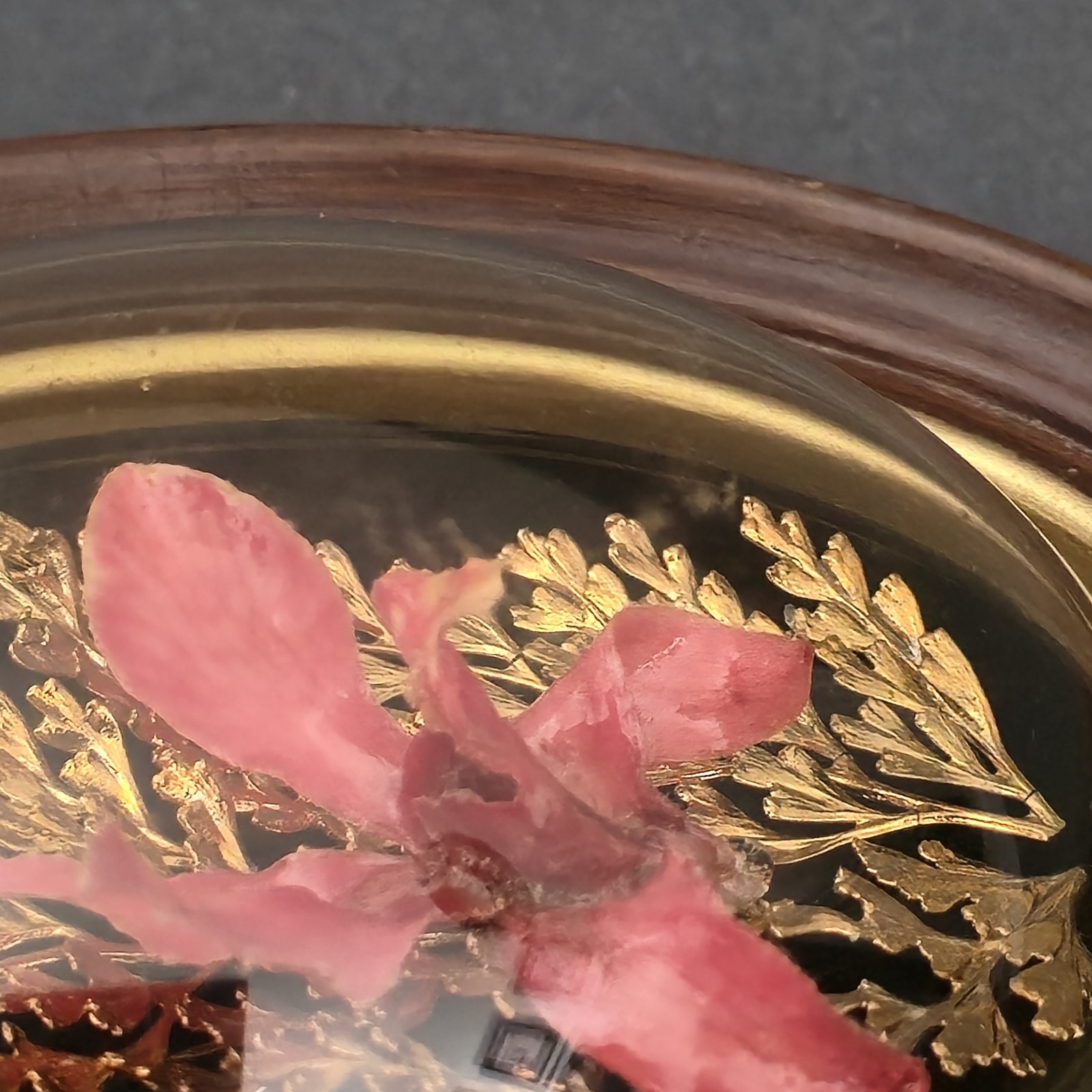 Vintage Orchid Flora Hawaiian Preserved 24K Gold Pink Fern Framed Dome 6″X5″