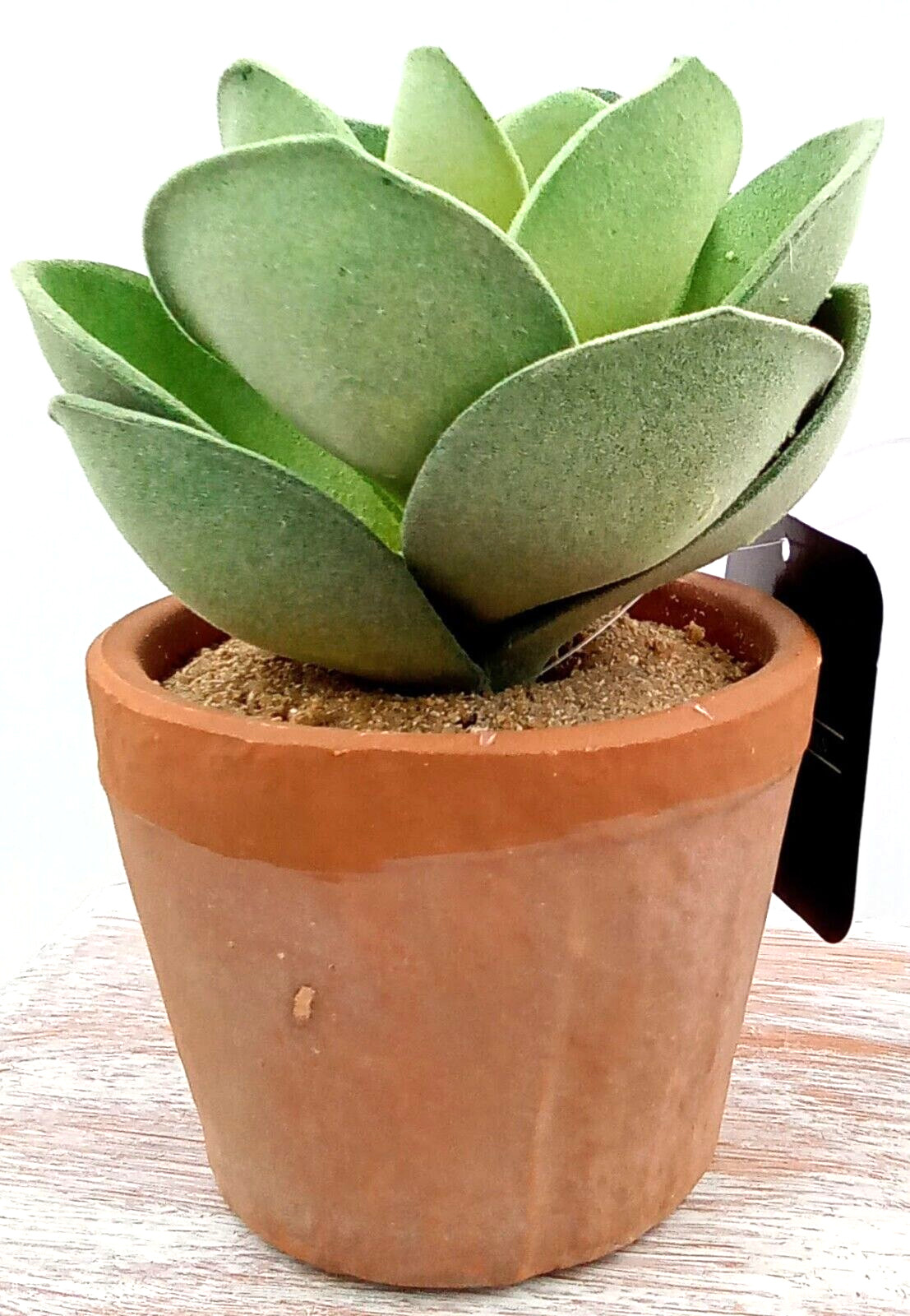 Succulent Clay Pot Planter Artificial Faux Dirt Foam Plastic Green Floral 5×2.5″