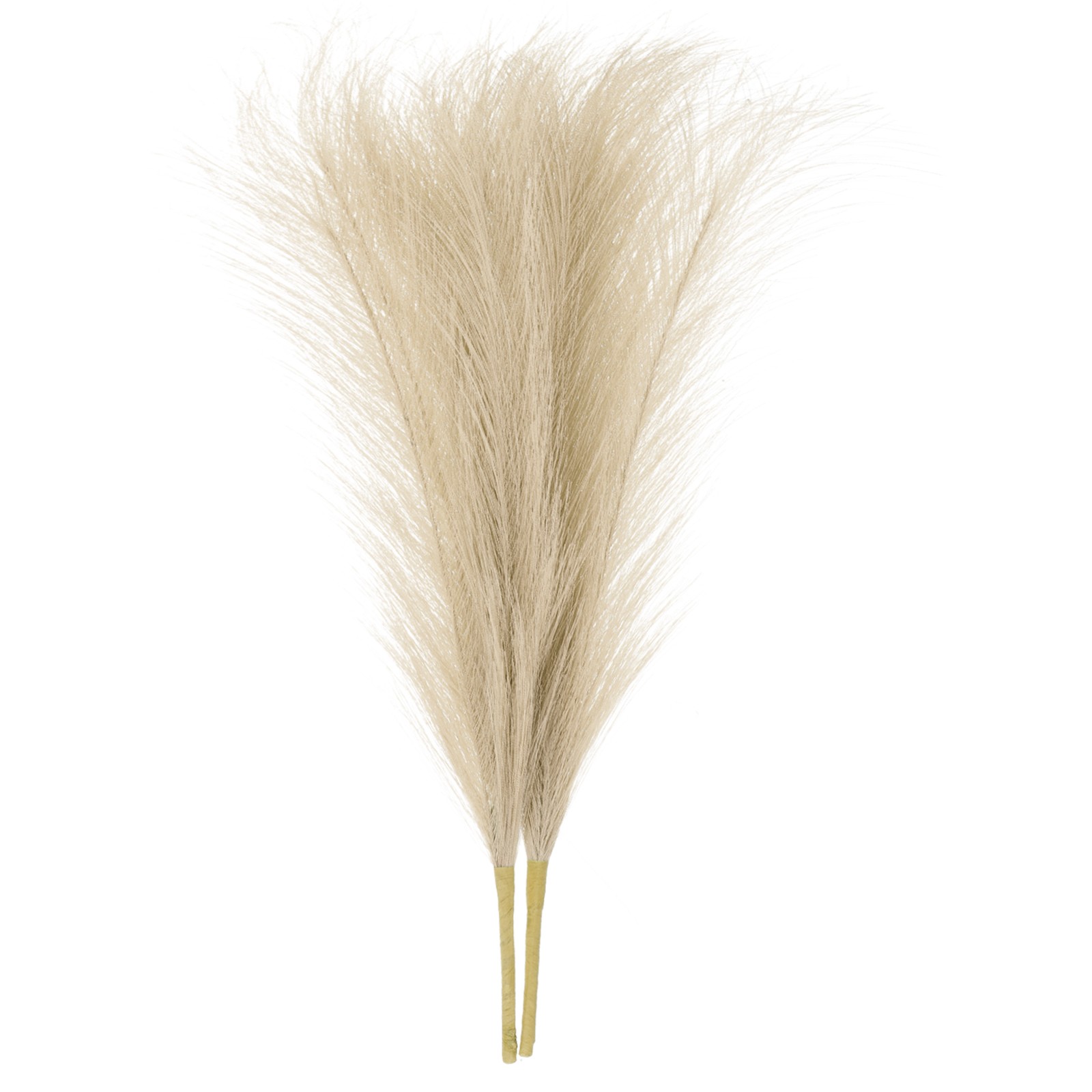 2pcs Faux Pampas Grass 17 Inch 10 Stem Artificial Grass for Decor, Dark Coffee