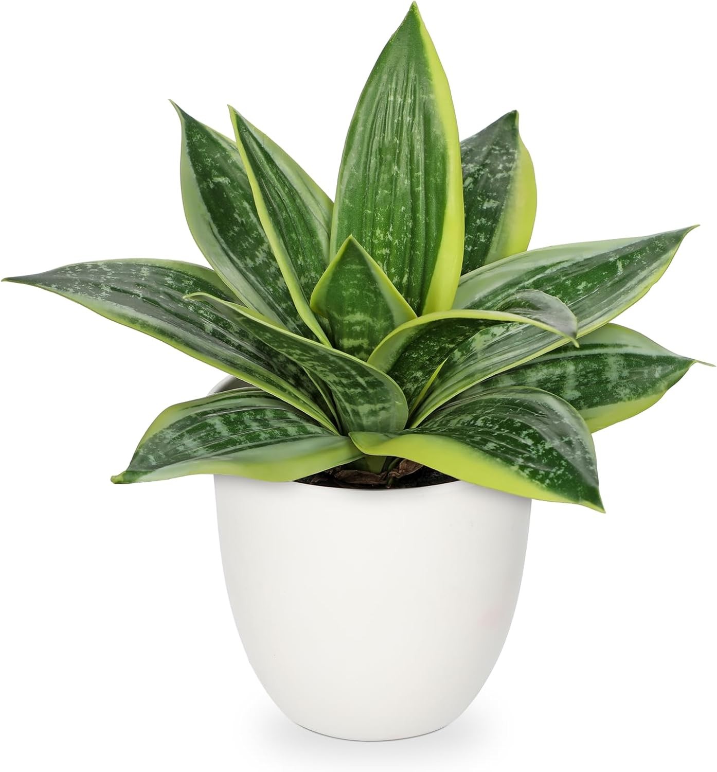 Artificial Snake Plants 9″ Faux Agave Succulent Plant Potted in White Pot