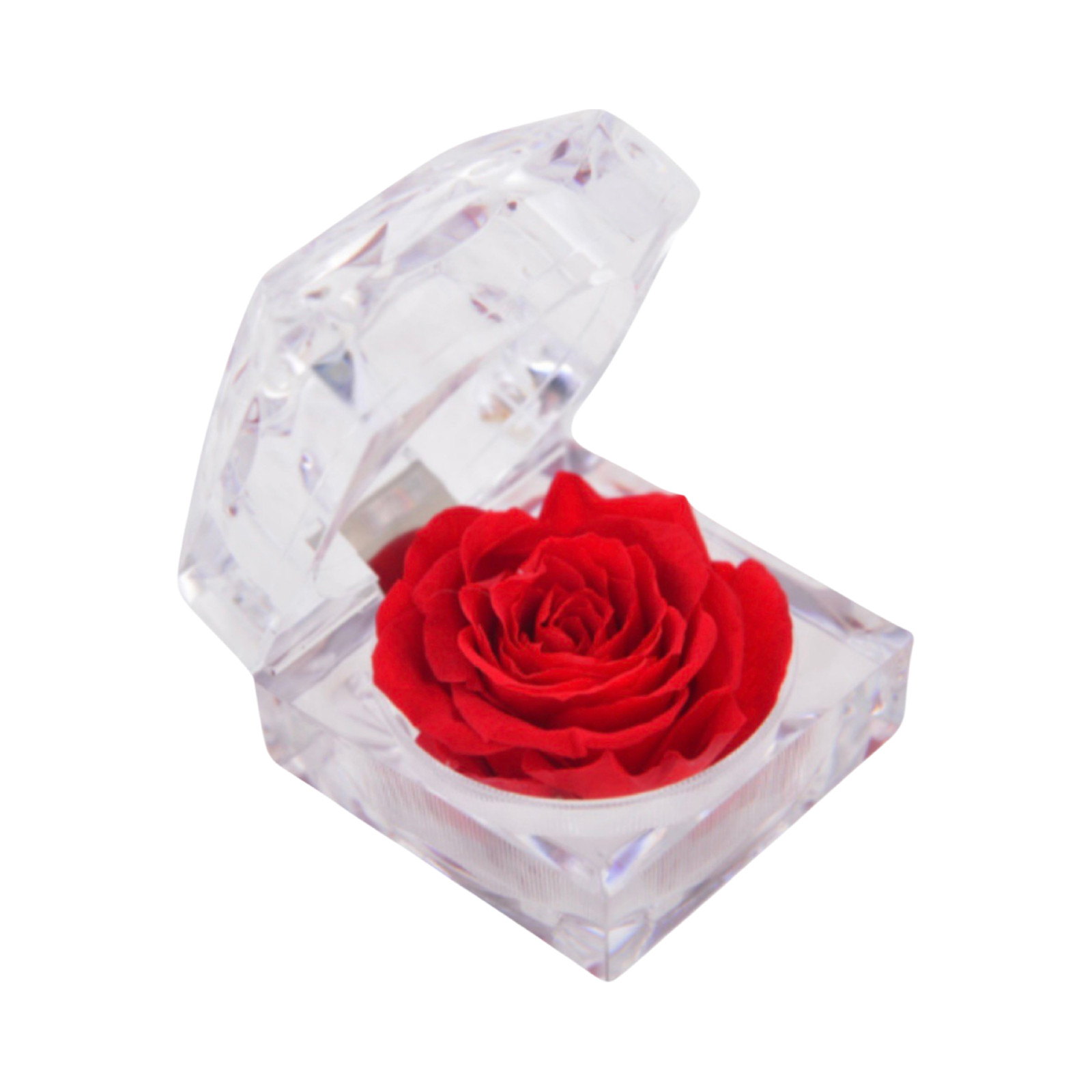 Eternity Rose in Acrylic Clear Capsule – 100% Real Rose/Preserved Rose