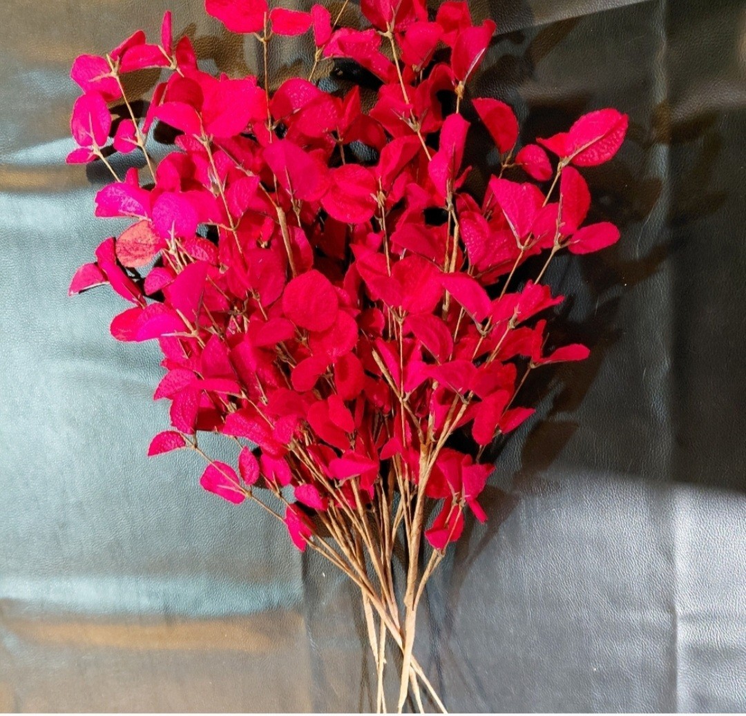 Set of 5 Primrue 26″ Red Faux Eucalyptus Stems – Moody Boho Decor