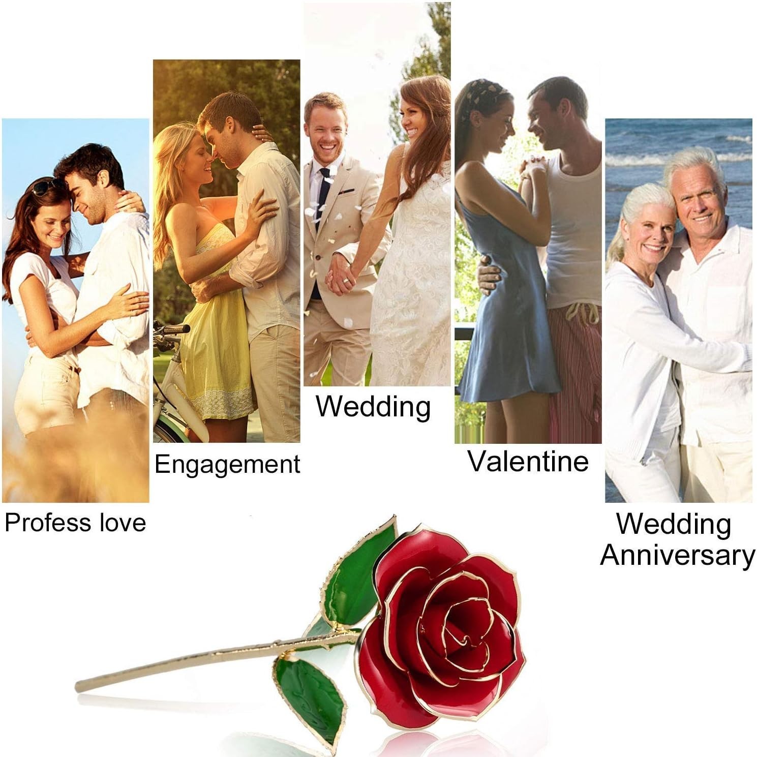 Unique 24K Gold Rose Gift Set with Transparent Stand – For All Occasions