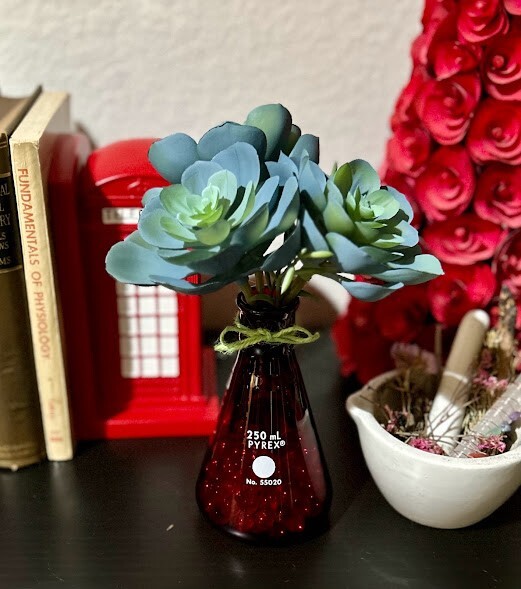 Artificial Potted Succulent Flower Fake Plant Aeonium Science Decoration Gift 