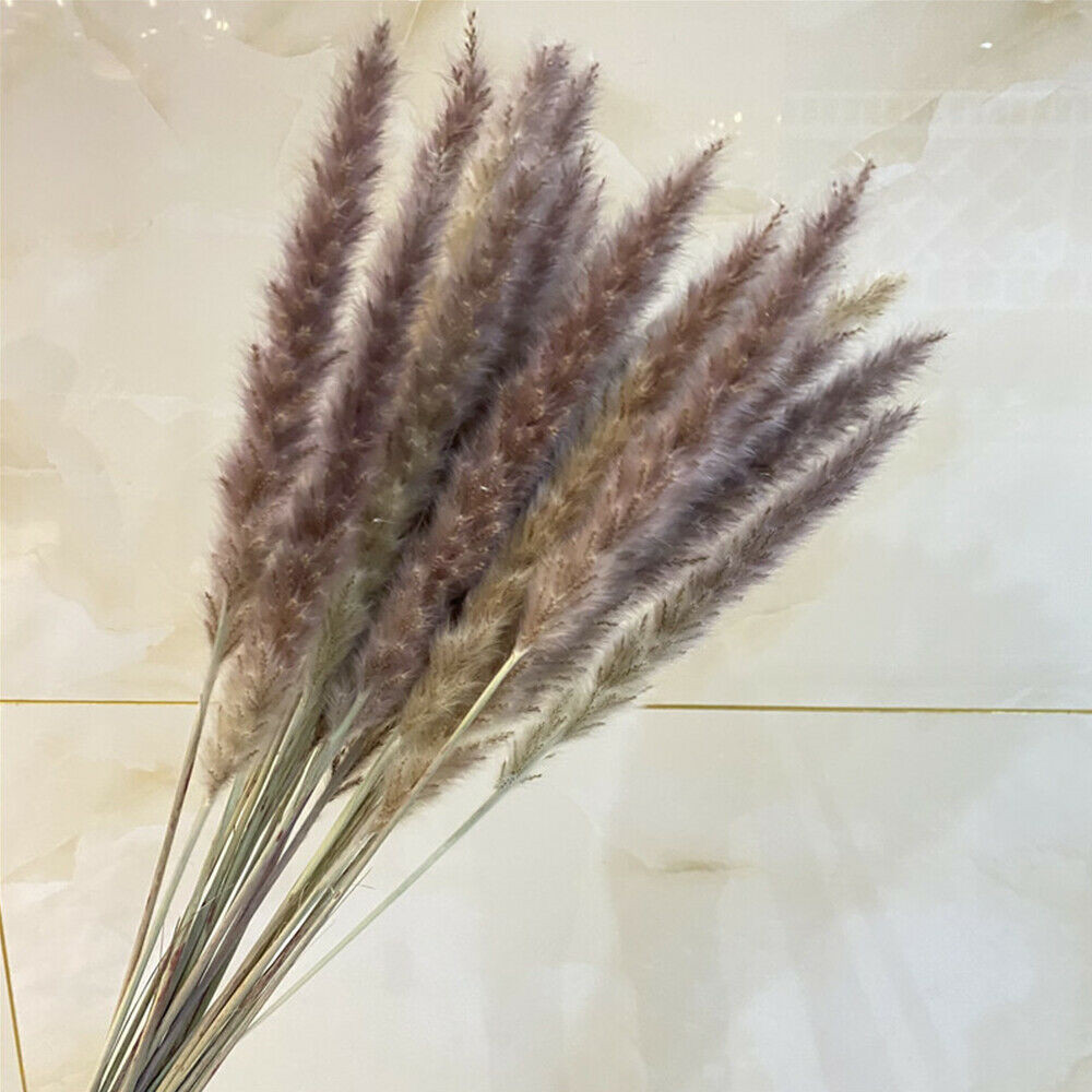 60PCS Natural Dried Pampas Grass Reed Flower Bunch Bouquets Home Wedding Decor