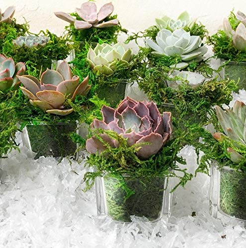 Artificial Moss Fake Green Grass for Centerpieces Home Kitchen Garden Decor (…