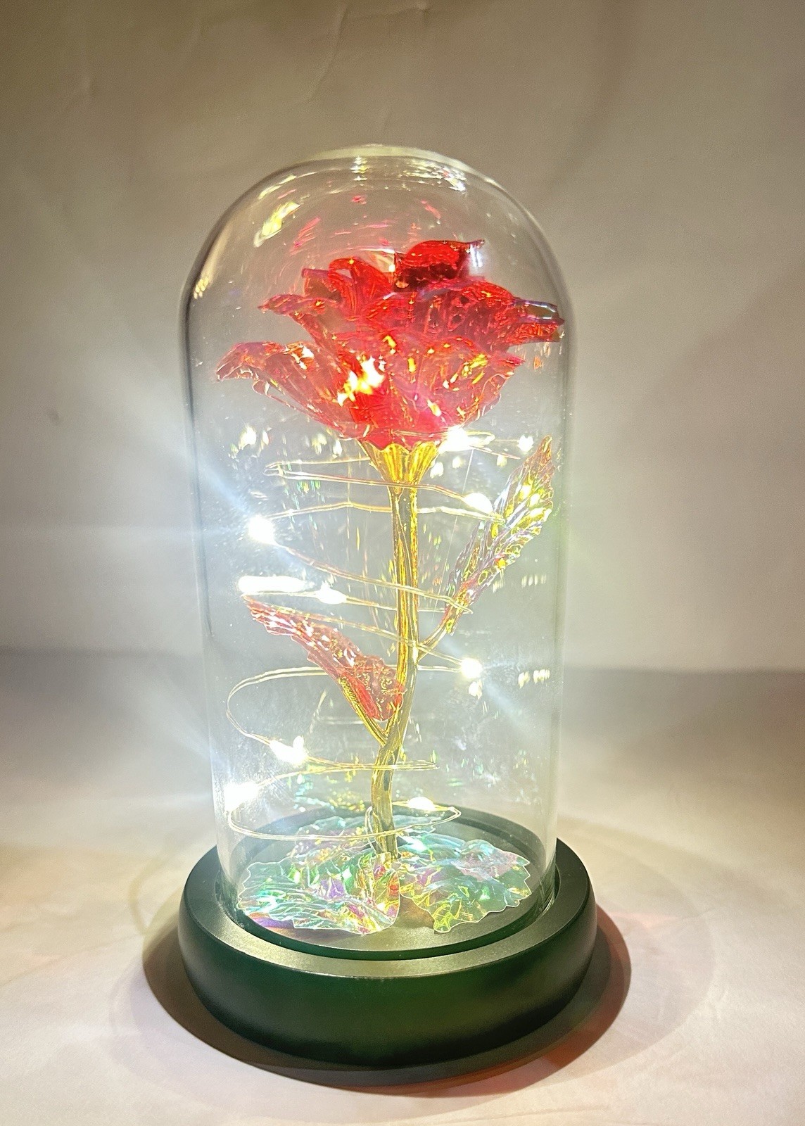 Forever Light up Rose in Glass Dome, Enchanted Rose with LED Lamp With Gift Card