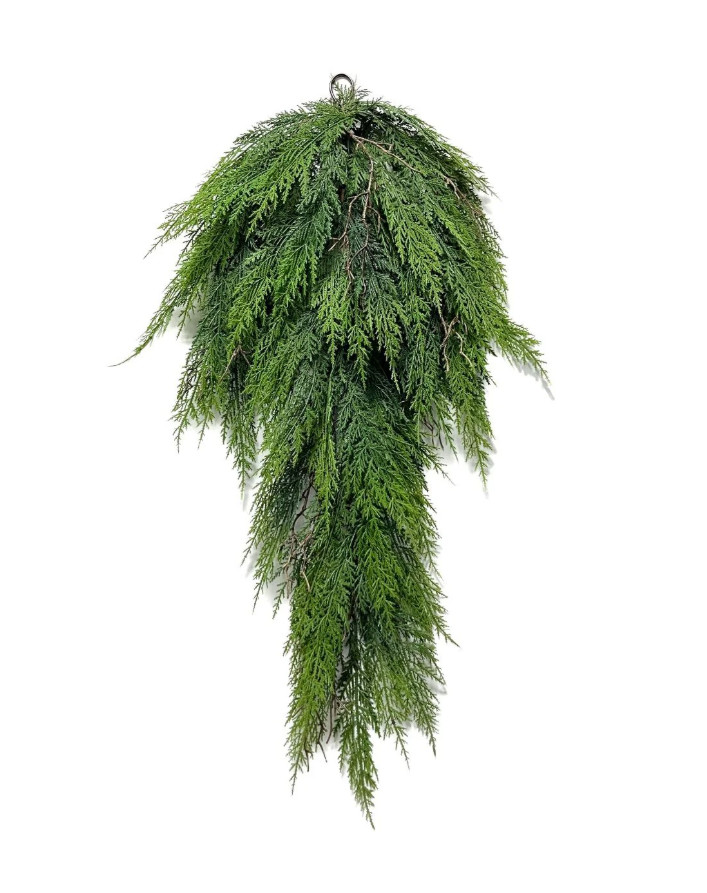 Fresh Undecorated Cedar Swag 30 ” x 14 ” x 3.5 “