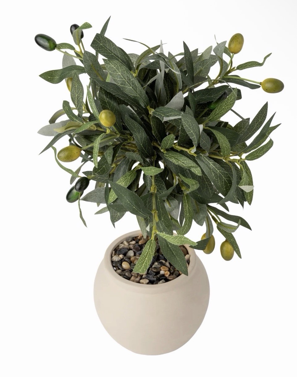 Better Homes & Gardens Realistic Artificial Olive Plant with Tan Ceramic Vase