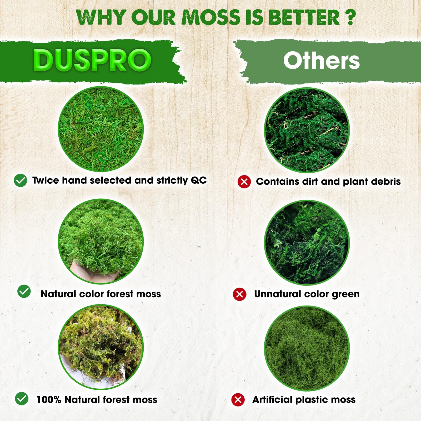 Green Forest Moss for Crafts, Real Dried Decorative Moss, 10 oz