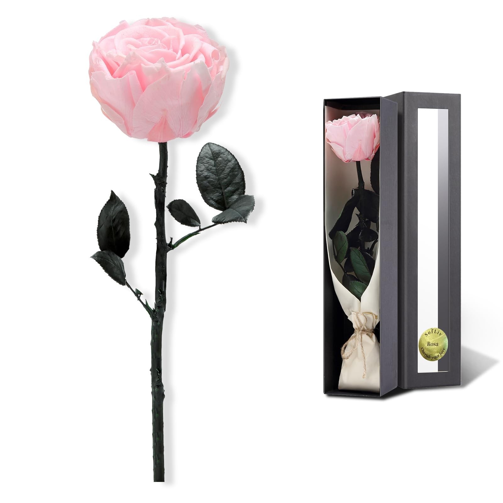 Preserved Real Rose Gift for Women, Mom Birthday Valentines Flowers