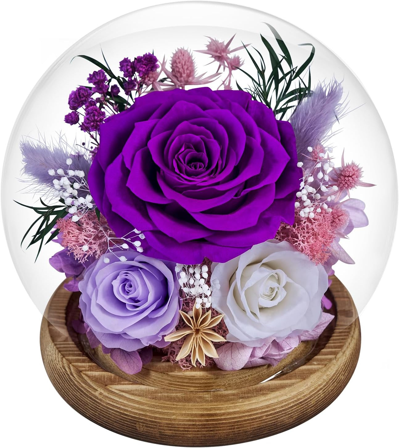 Preserved Roses Forever Rose in Glass Dome – Birthday Gifts for Women Mom, Real