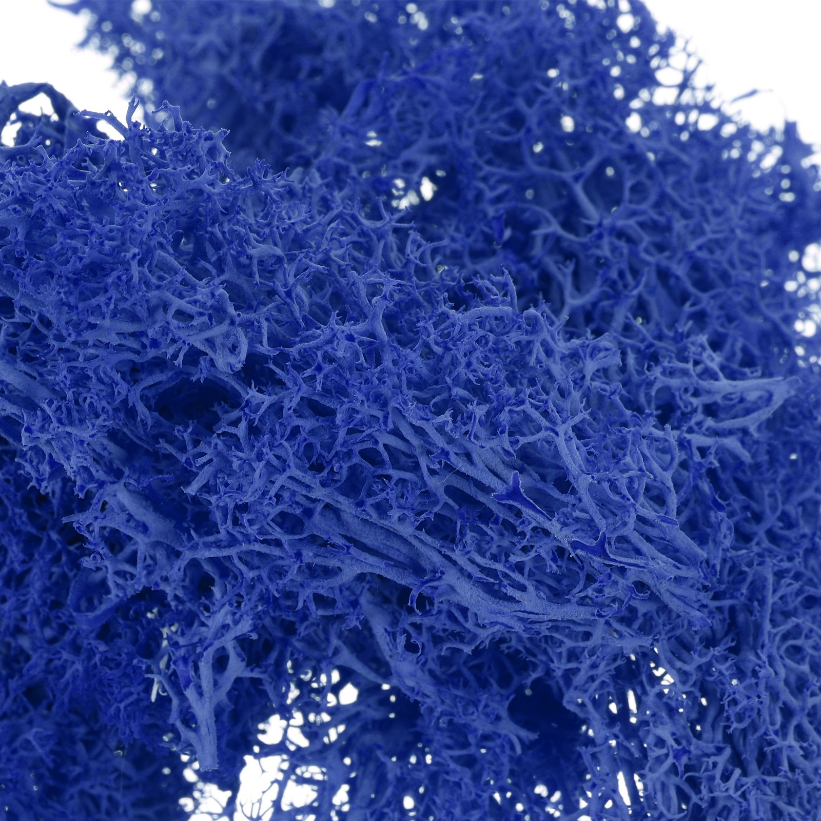 3.5 OZ Fake Moss Preserved Reindeer Moss Artificial Moss Lichen Dark Blue