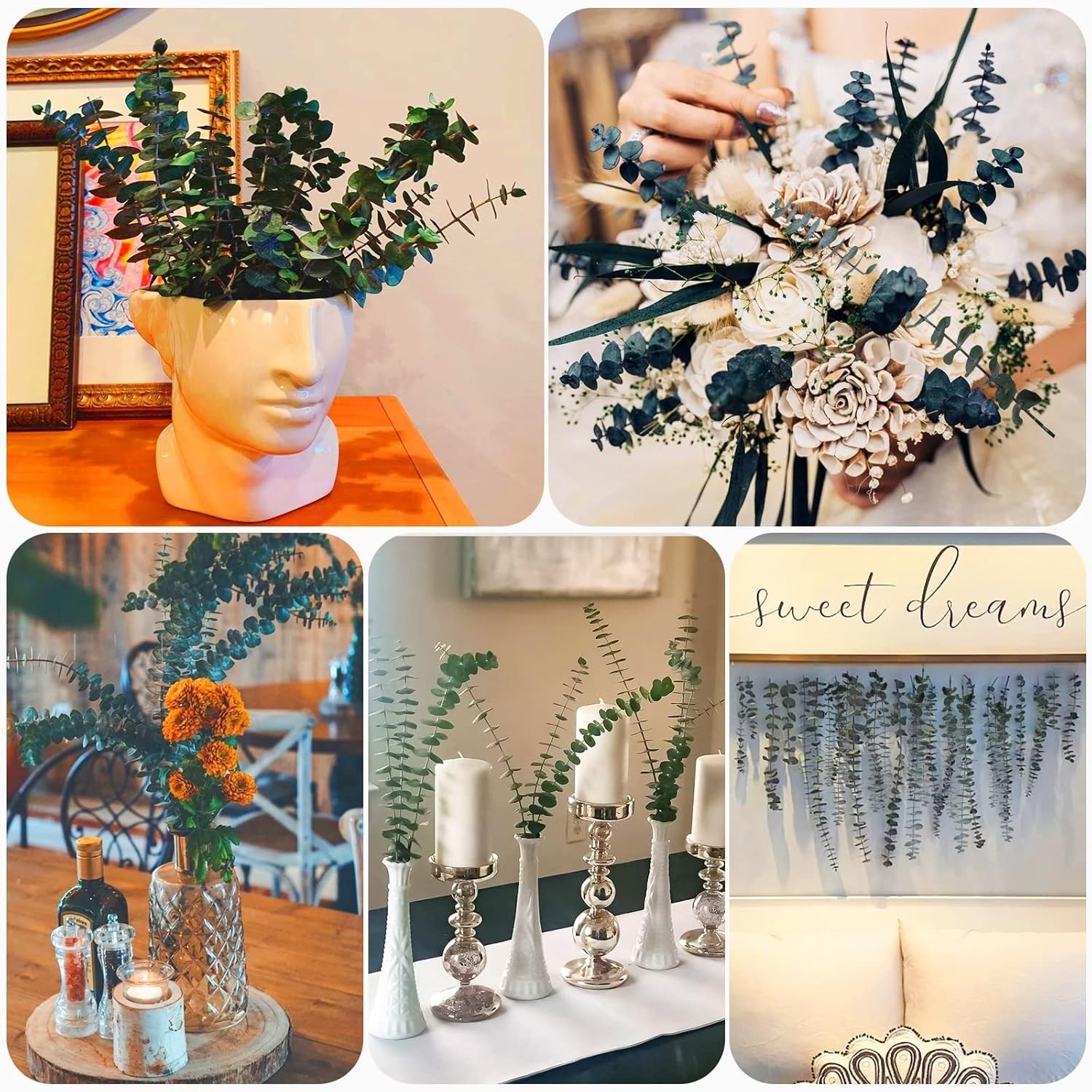 16 Pcs Preserved-Dried-Eucalyptus-Branches,17″ Real Natural Fresh Eucalyptus …