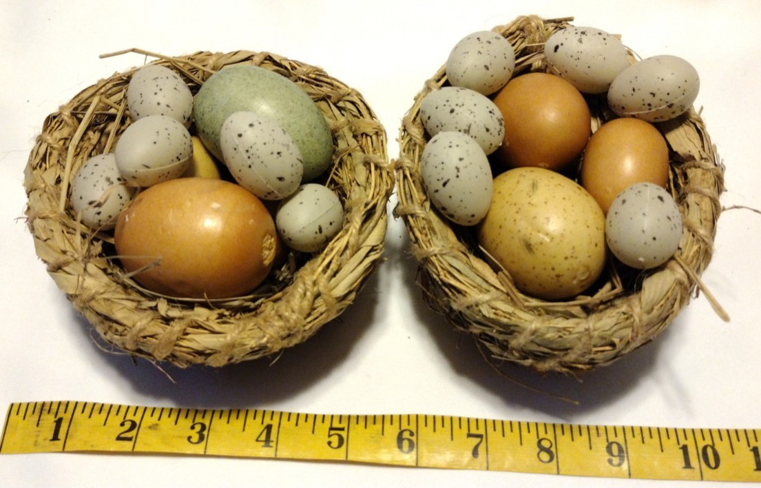 2 Faux Bird Nest w/ Speckled Eggs Easter Spring Decor Rustic Farmhouse AB