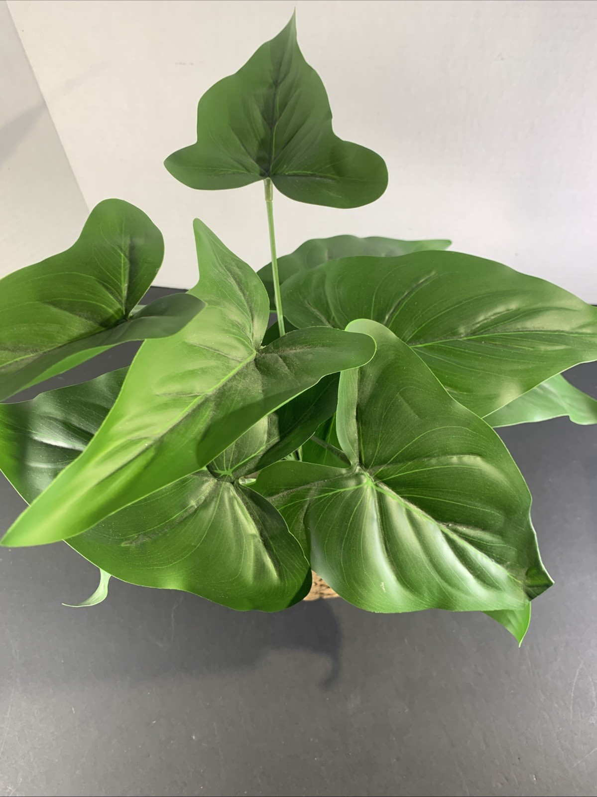 Faux Tropical Sweetheart Plant Seagrass Woven Planter Alocasia River Rock 12”