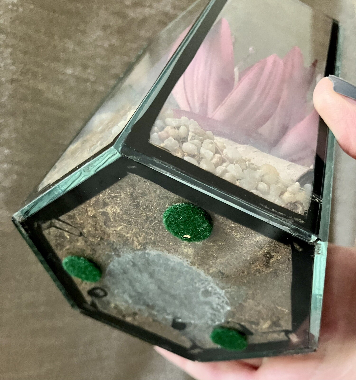Vtg Geometric Terrarium Faux Pink Lily Glass Polygon On The Rocks Mirror Back