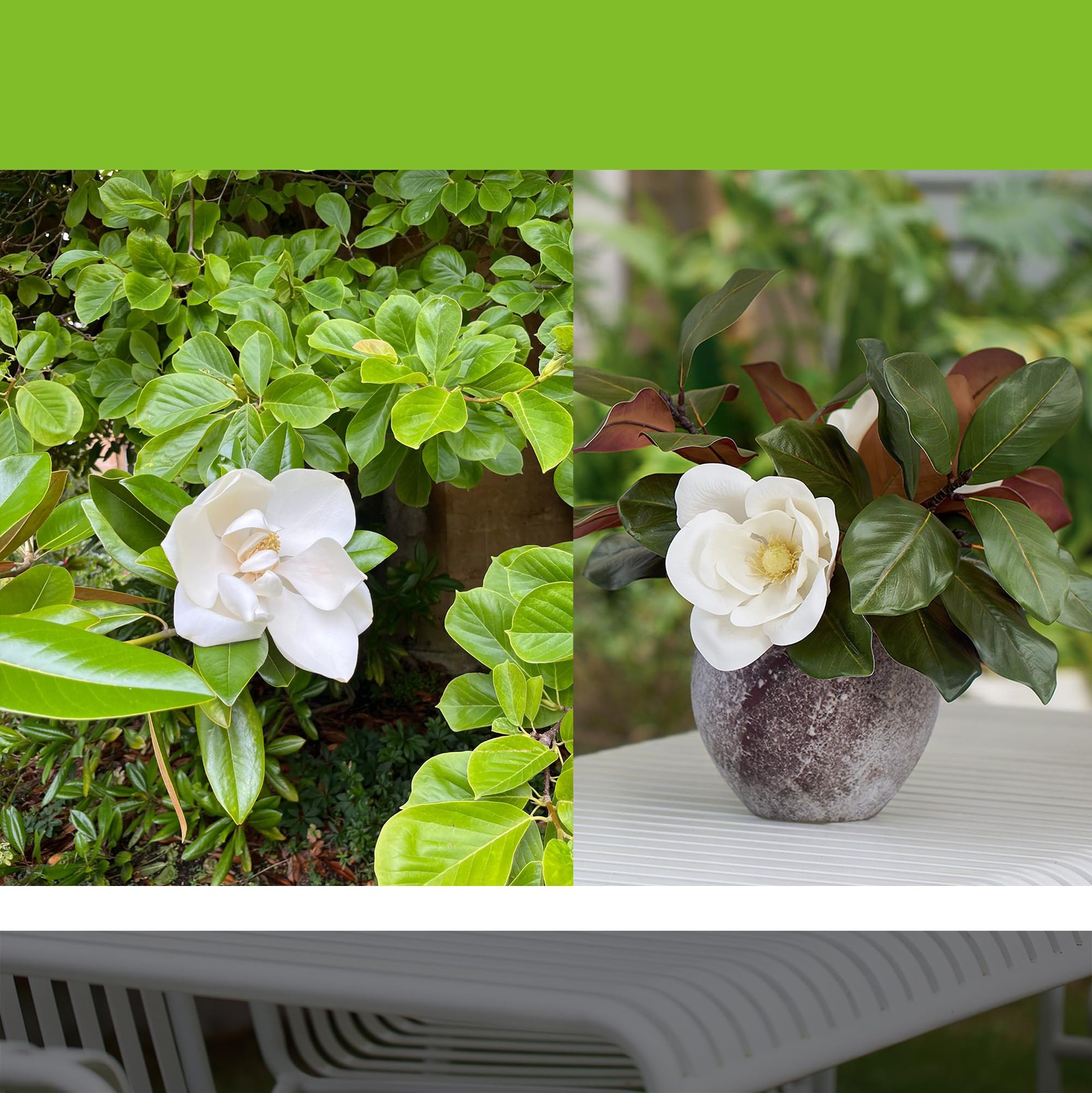 Faux Magnolia Grandiflora Stems, Creamy White, Real Touch, Table Arrangement
