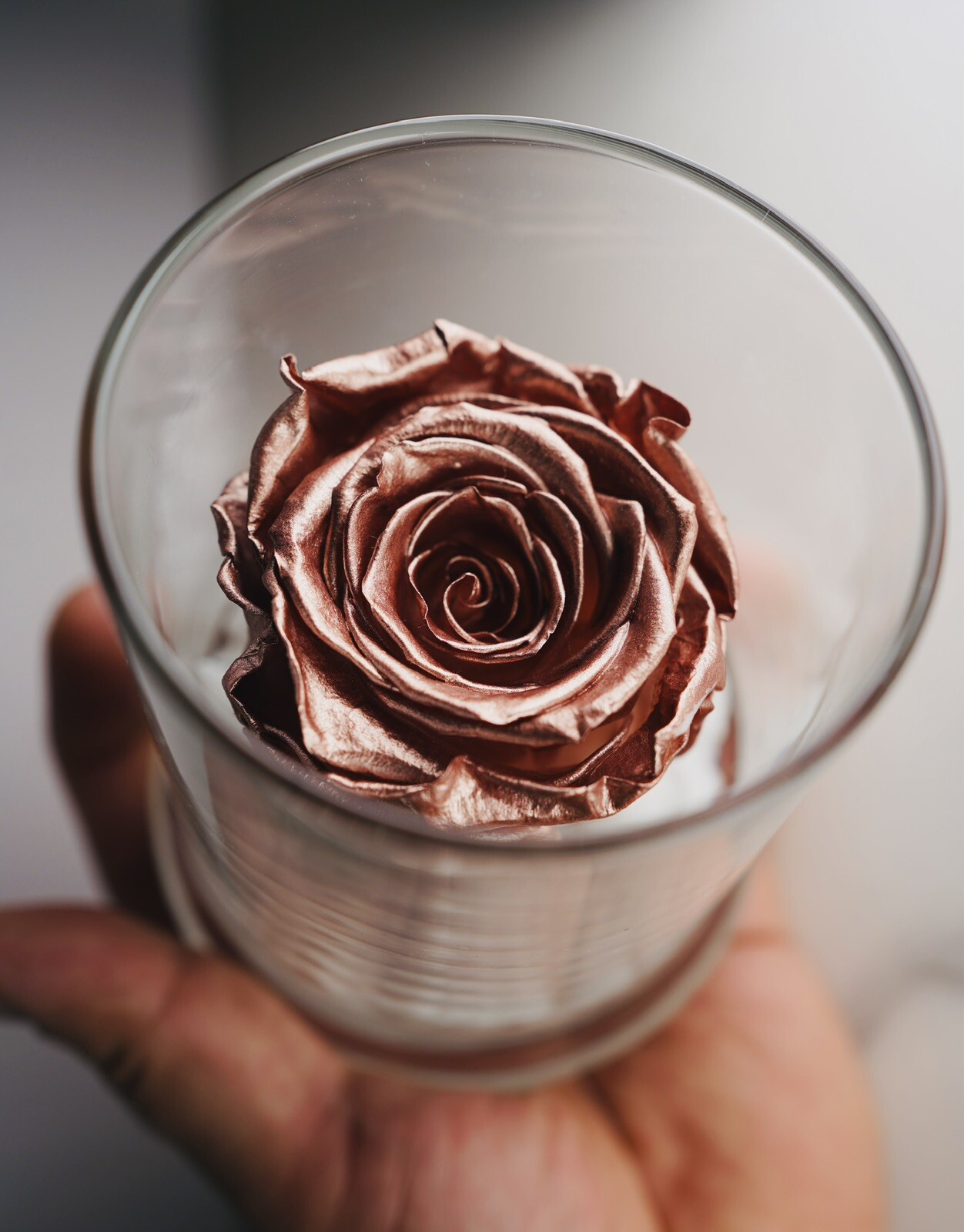 Real Rose Gift in Glass Jar Base White Stones Metallic Rose Gold Gift For Gf