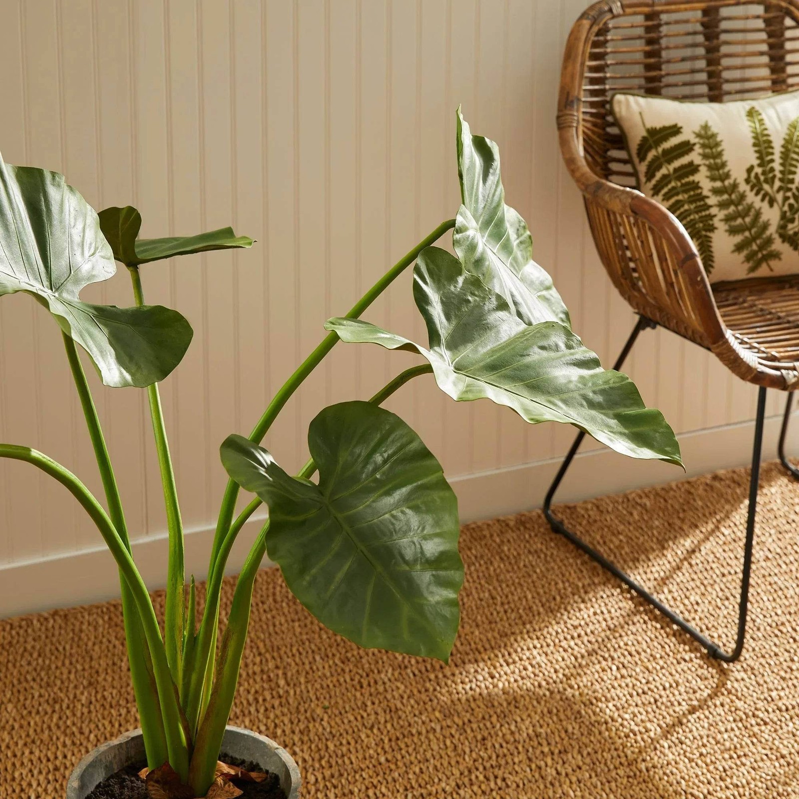 Artificial Elephant Ear Plant – Organic Design, 42″ Tall