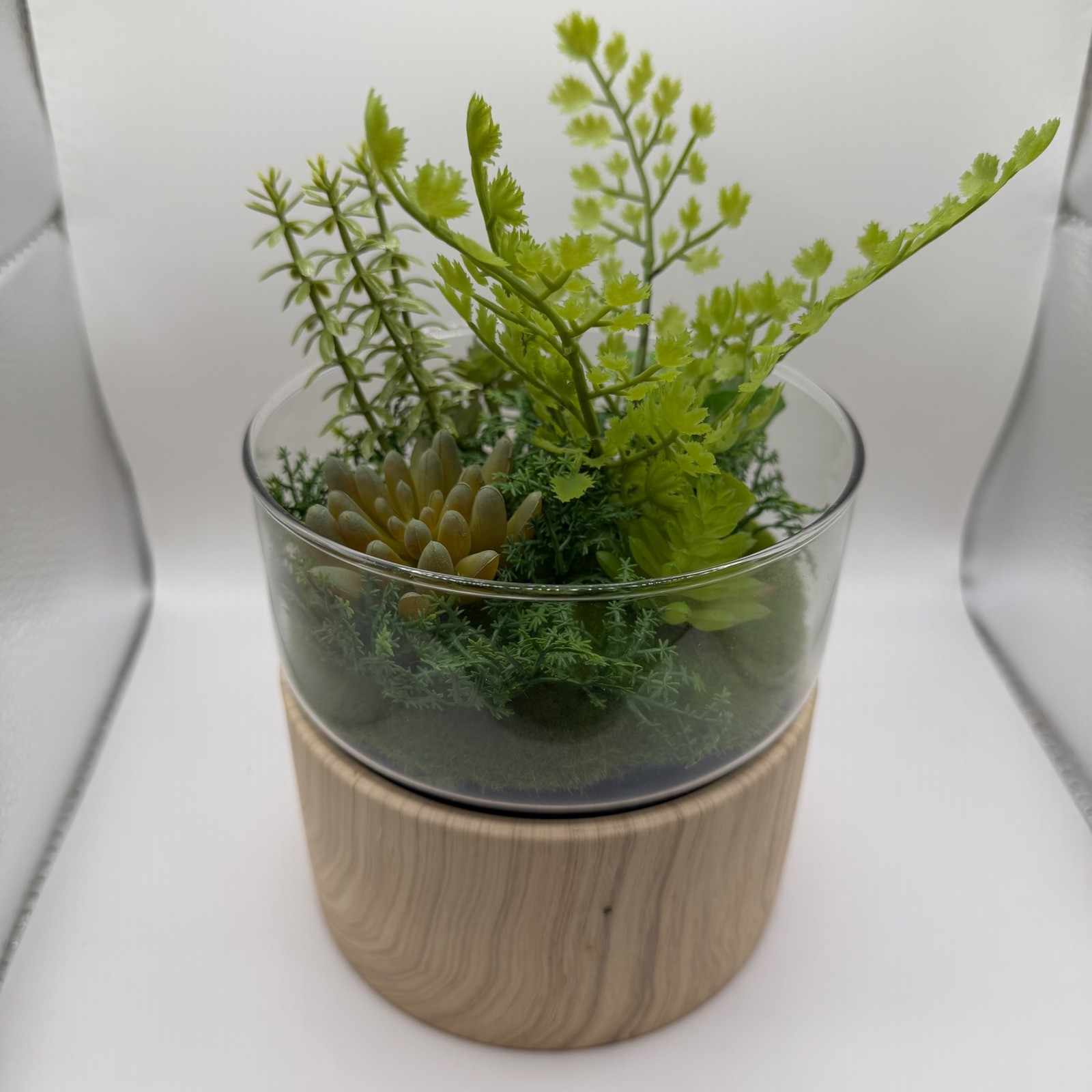 2pk Threshold Round Wood Faux Plant 6″ Diameter Natural Wood base