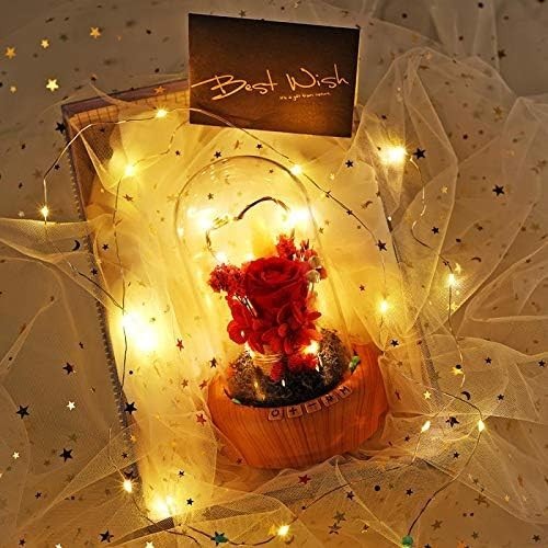 Mother’s Day Red Rose Night Light Real Eternal in Glass Dome, Preserved Rose …