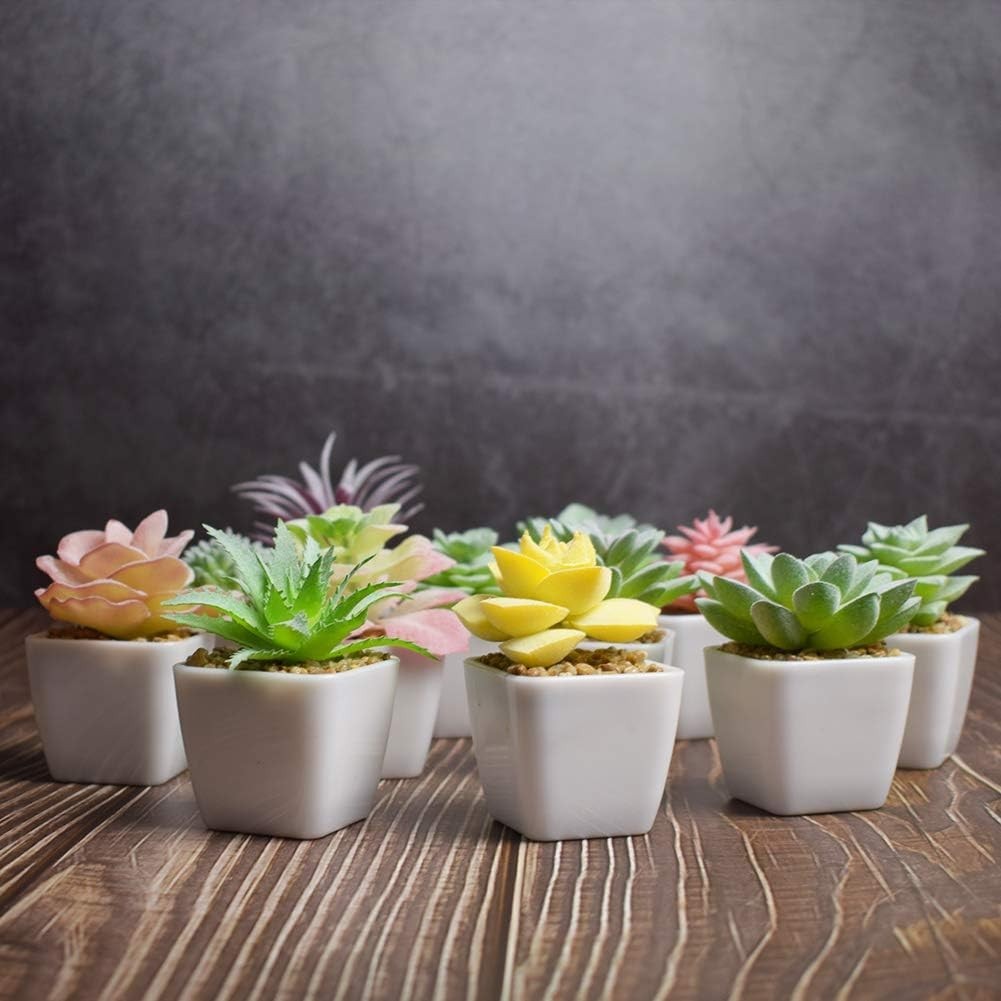 Eco-Friendly 24 Mini Artificial Succulents – Perfect for Home and Office