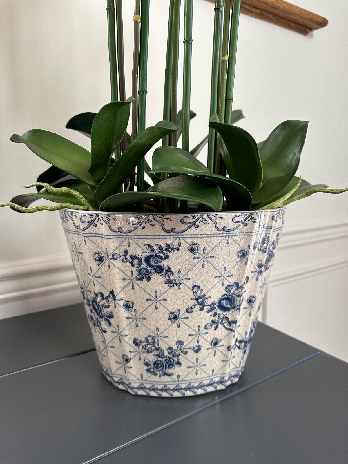 Faux White Orchids in Crackled Glazed Ivory & Blue Ceramic Cache Pot 32″x18″x11″