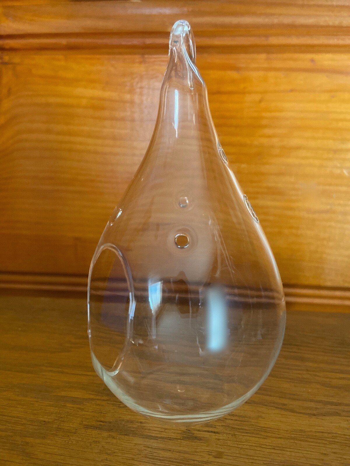 Glass Airplant Plant Terrarium Vessel Clear Teardrop Container Rustic Jute NEW!