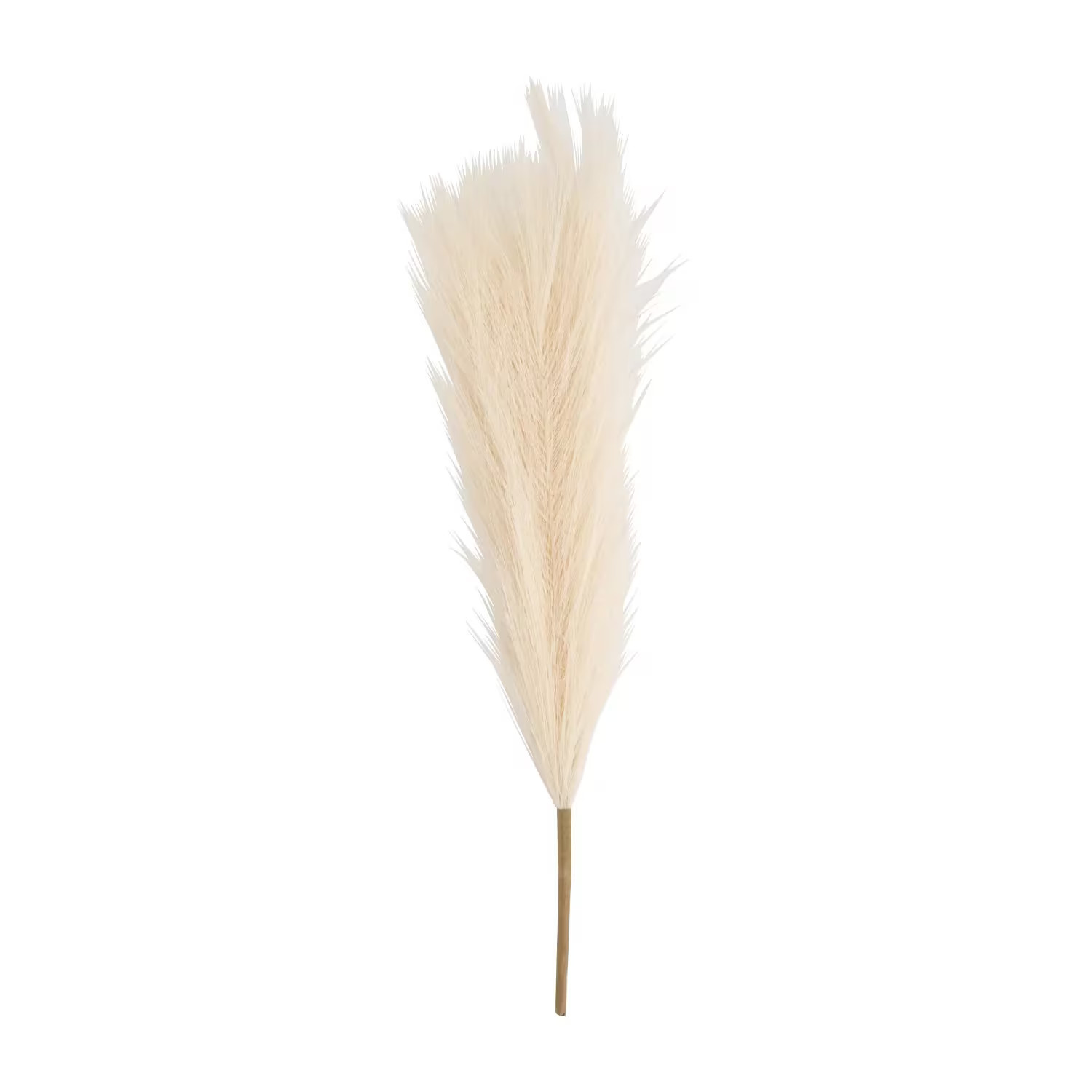 Ivory Pampas Grass, Wedding, Home Decor, 6 Pieces