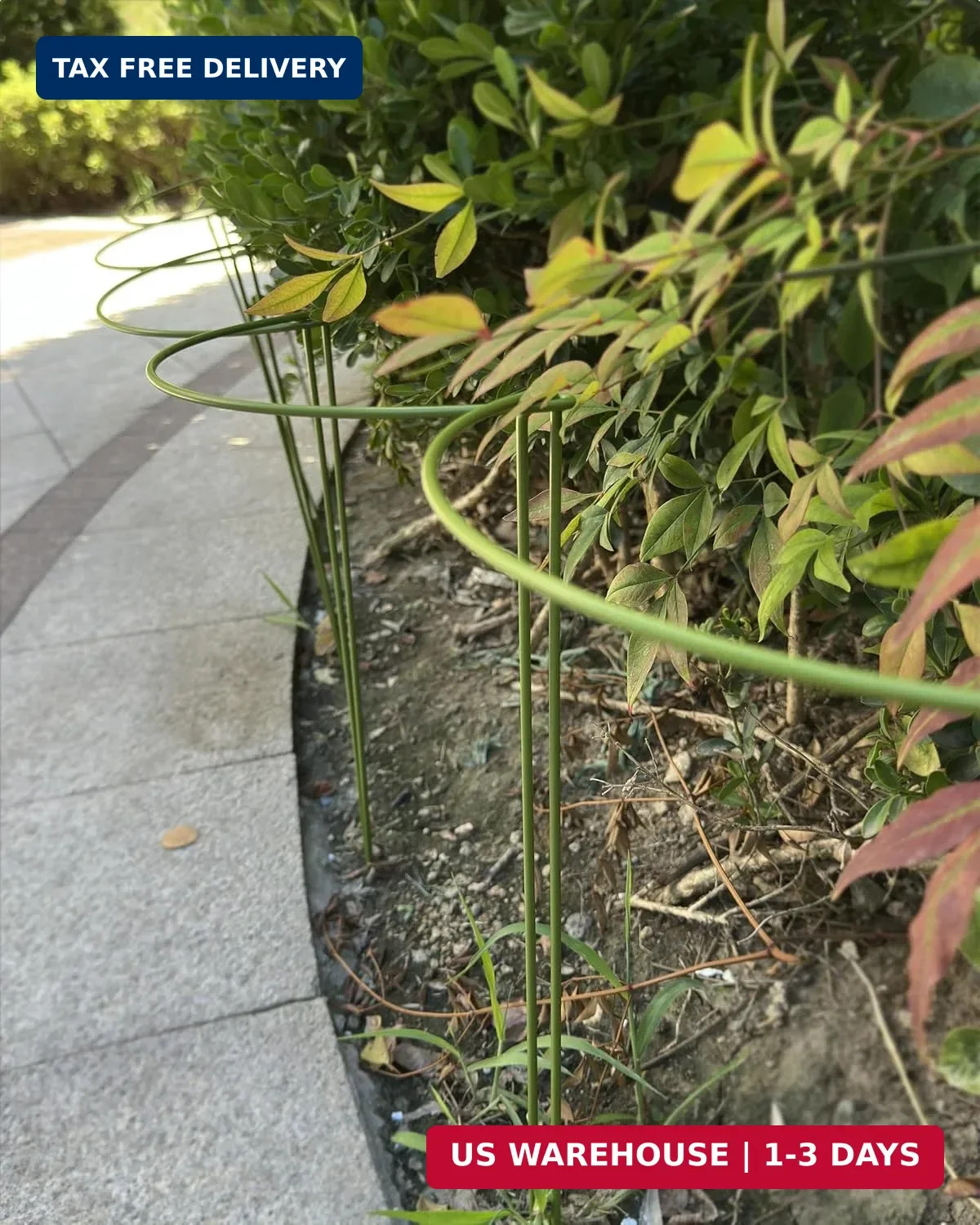 6-Packy Plant Support Stakes, Steel Stakes for Indoor Plants, Monstera & Peony S