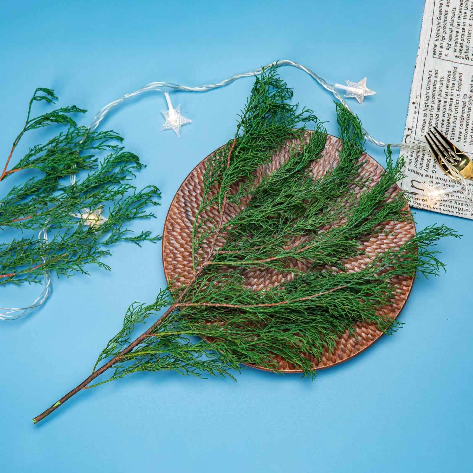 6OZ Preserved Real Pine Leaves Branches -17” Natural Christmas Greenery Plan…
