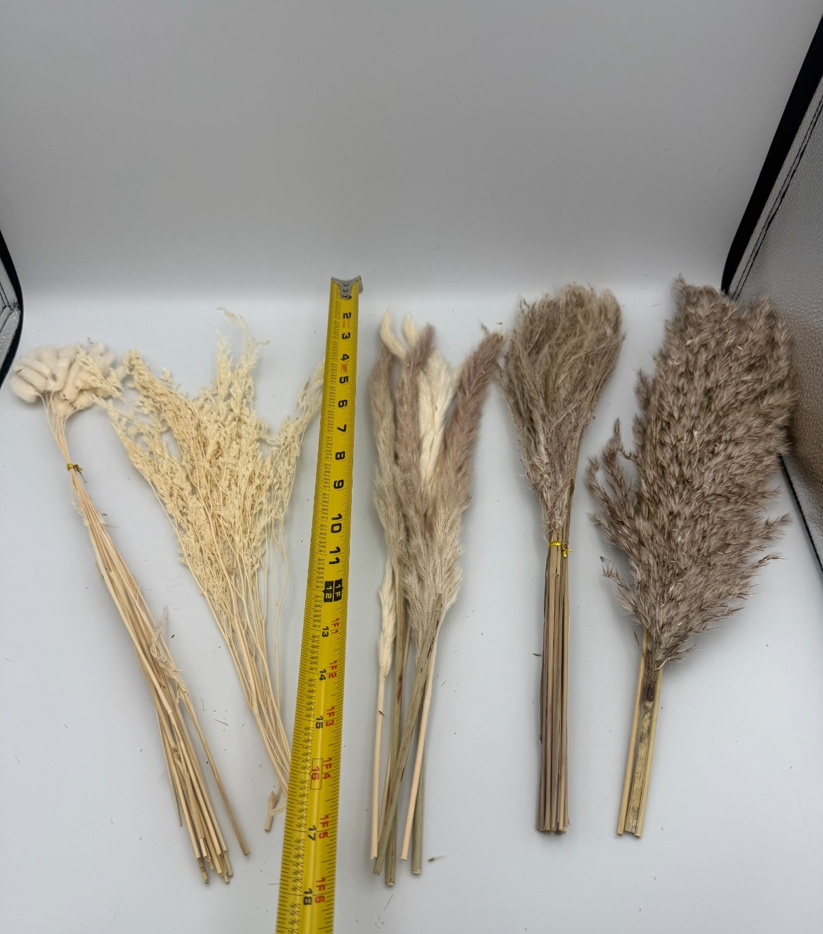 Dried Palm Leaves Fan Wall Decor Kit Natural Ornamental Grass Stems 16-17 in