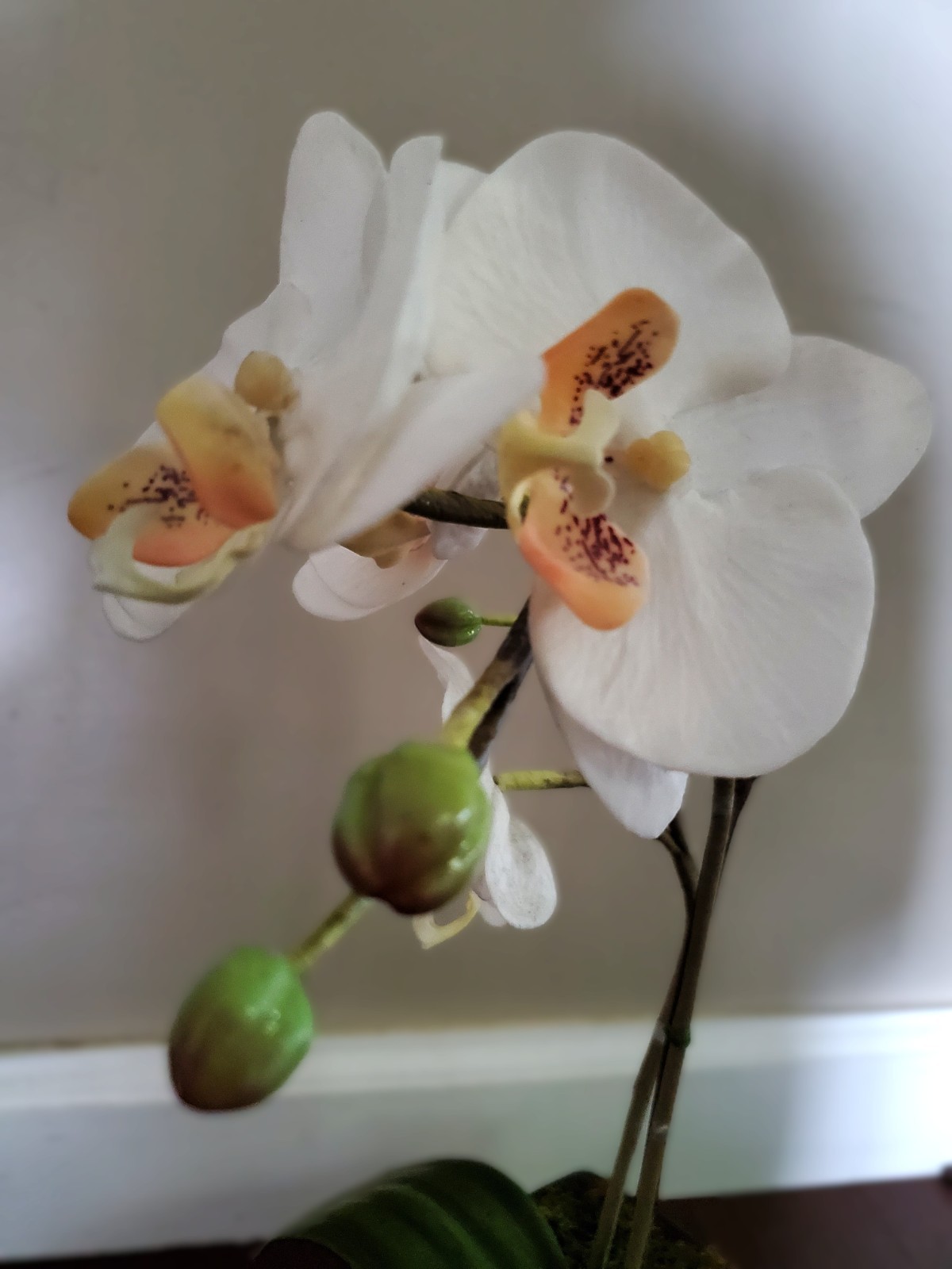 Artificial Flower Arrangement White Phalaenopsis Orchid 16″ in 6x6x2.5 black pot