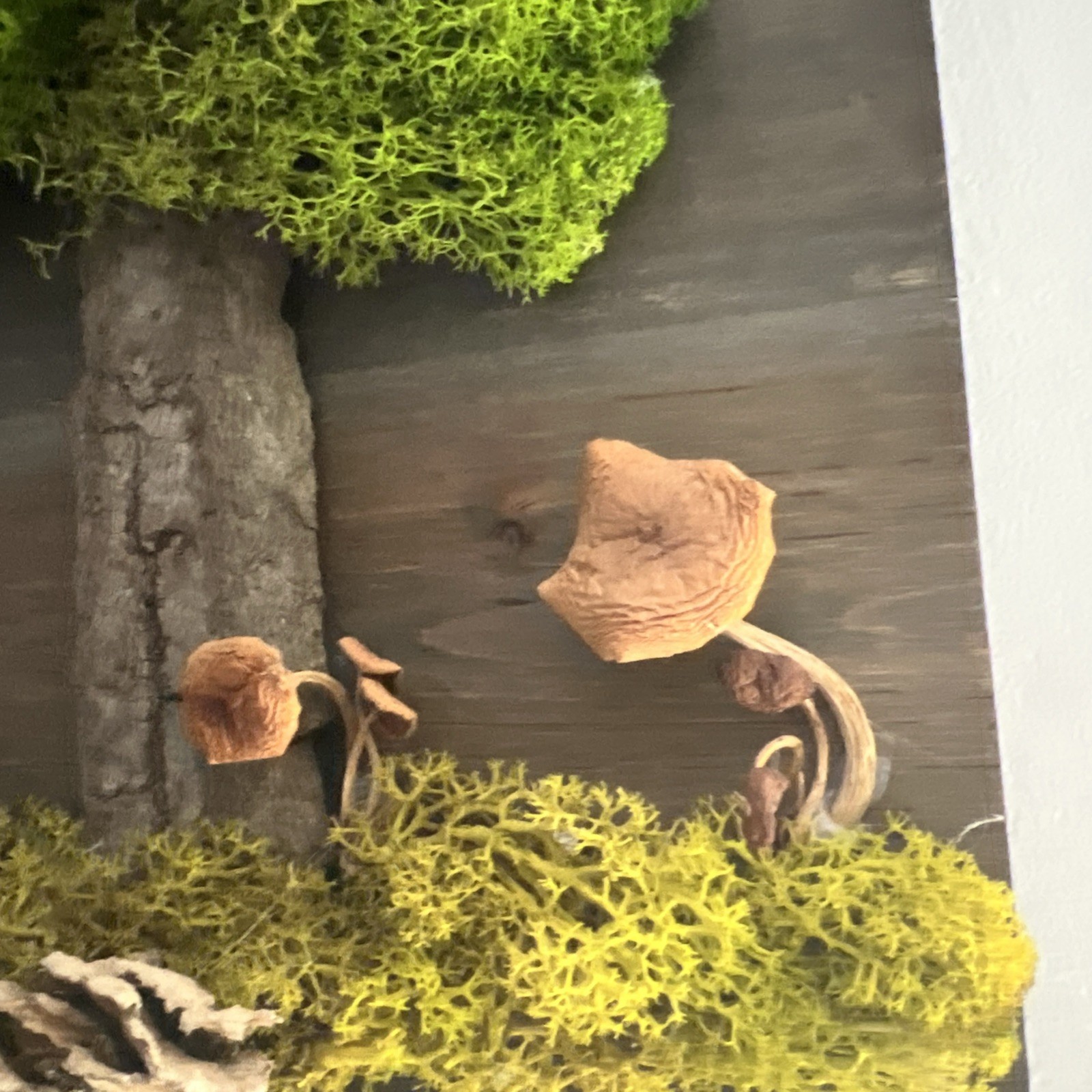 Natural Moss Handmade Art – Wood Wall Plaque Hanging Decor Real Dried Mushrooms
