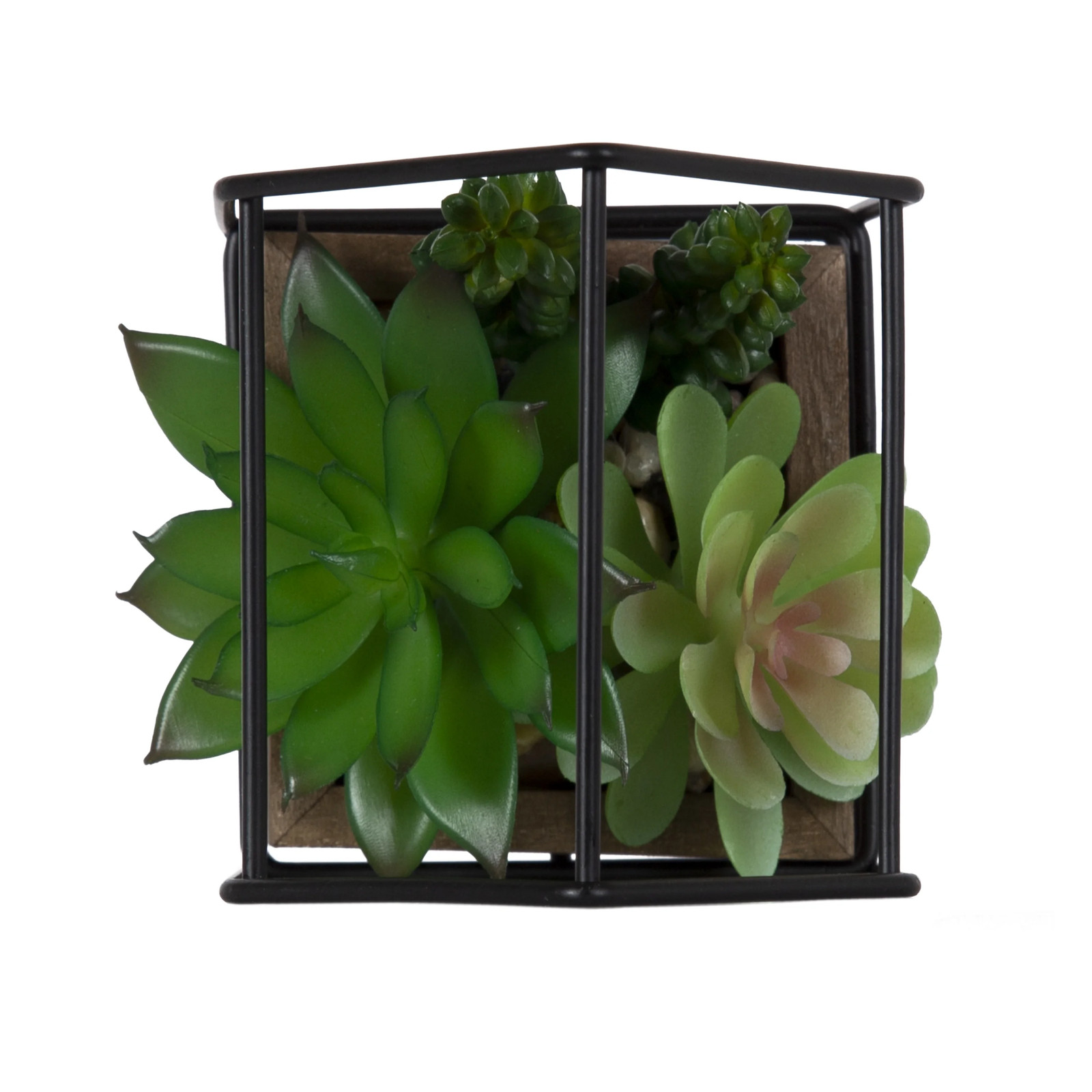 5.5″ Artificial Mixed Succulents in Black Metal House Terrarium