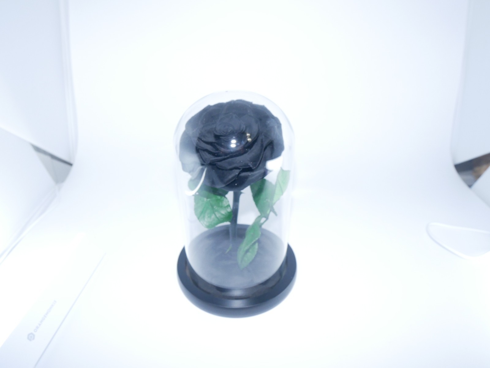 Perfectione Roses Black Rose Preserved Flowers