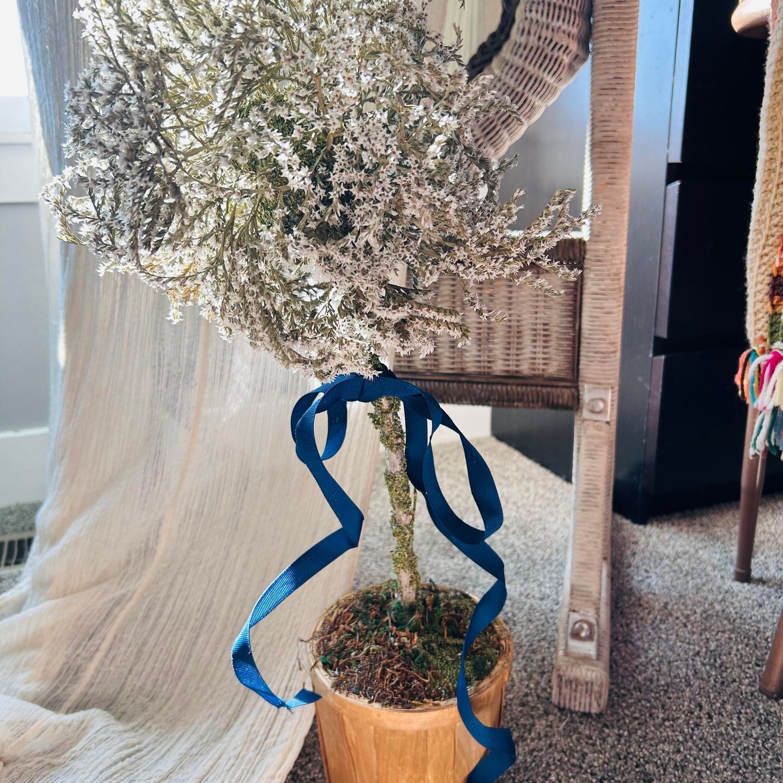 Chinoiserie Potted topiary of dried German statice flowers twisted branches moss