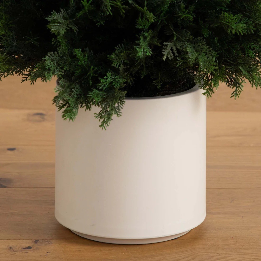 6’ UV Resistant Artificial Cedar Tree in White Planter (Indoor/Outdoor)