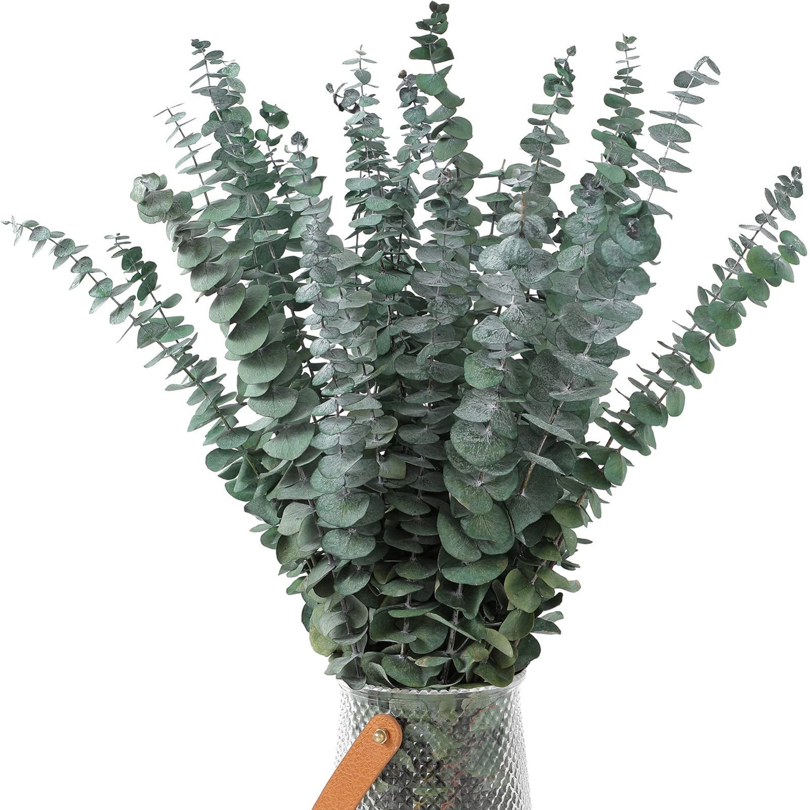 30 Pcs Dried Eucalyptus Stems 17″ Real Natural Decor for Weddings, Showers, DIY