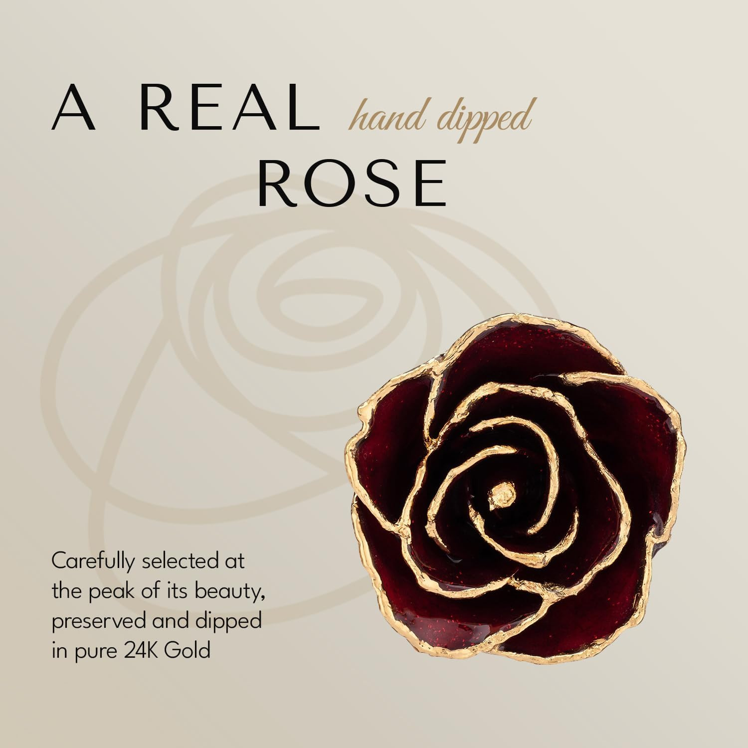 24K Gold Dipped Garnet Rose with Glass Vase – Unique January Birthstone Gift