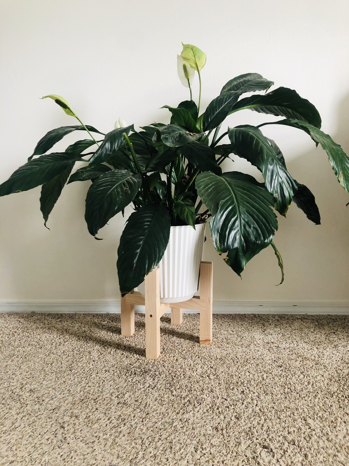 9.25 Inch Wooden Plant Pot Stand