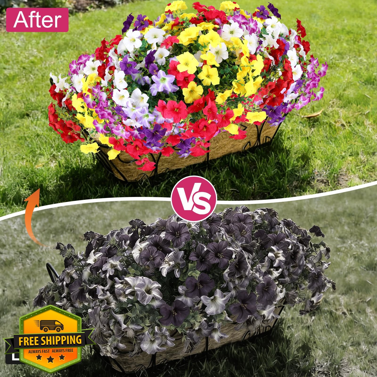 Geegoods Petunias Mix 6 Colors 12 Bundles