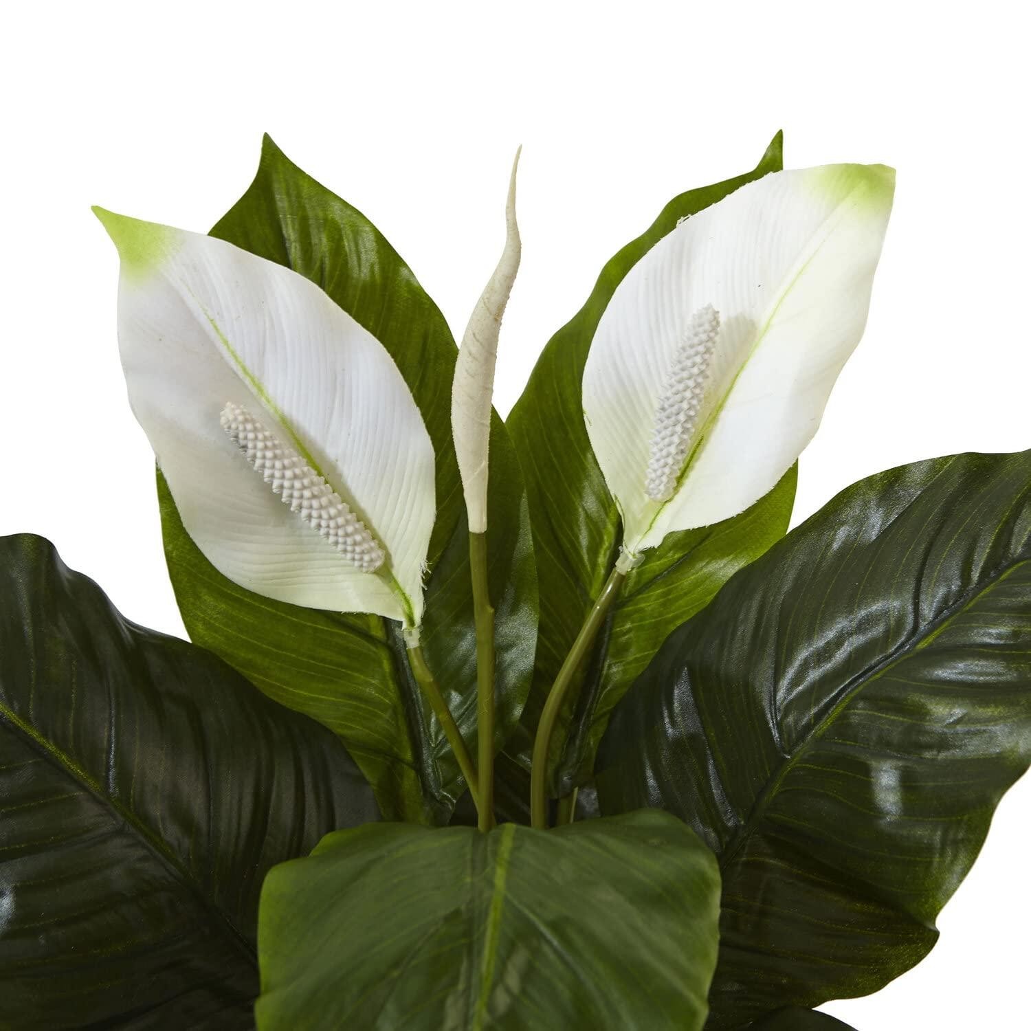 Nearly Natural Spathiphyllum Artificial Flowering Peace Lily in Glossy Glass Pla