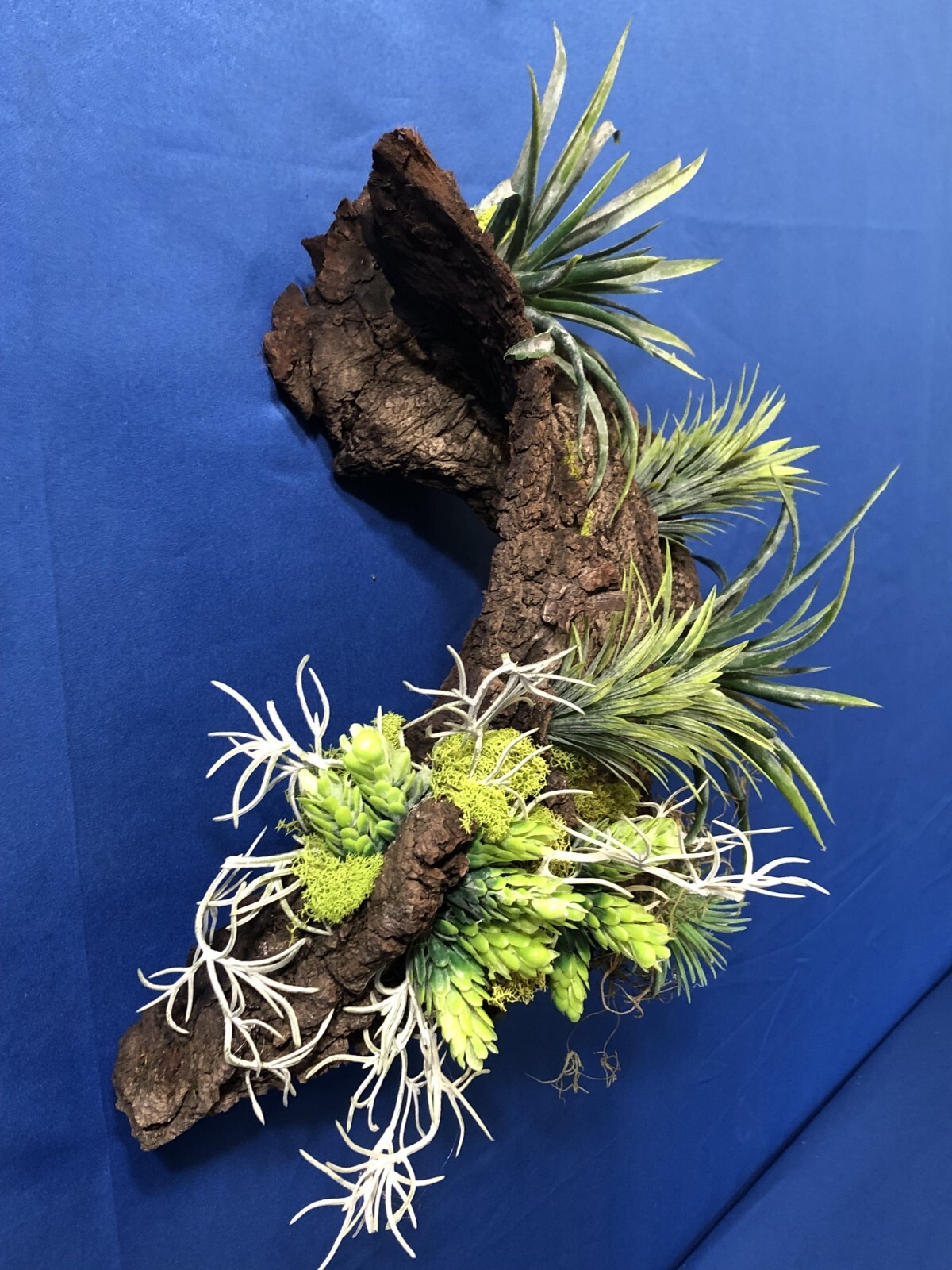 Artificial Succulent Air Plant Wall Art Home Office Mounted on Real Wood Bark