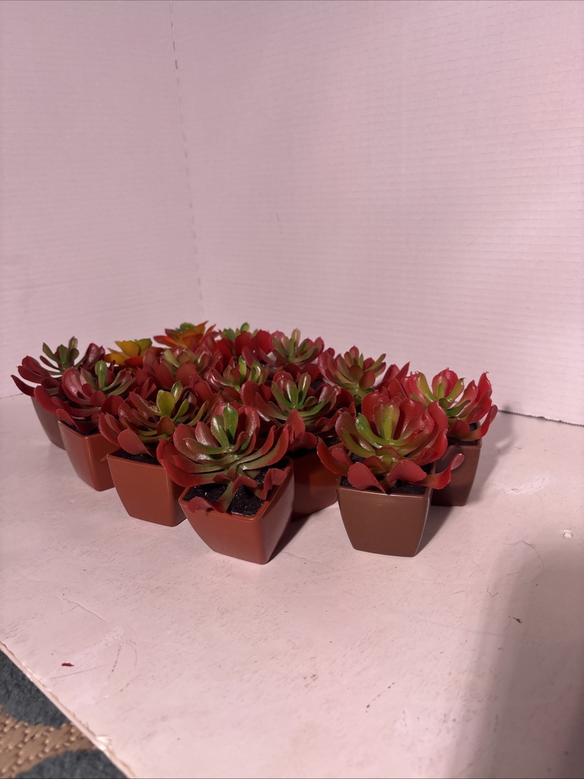Succulent plants Artificial Variety Of 14 Plants