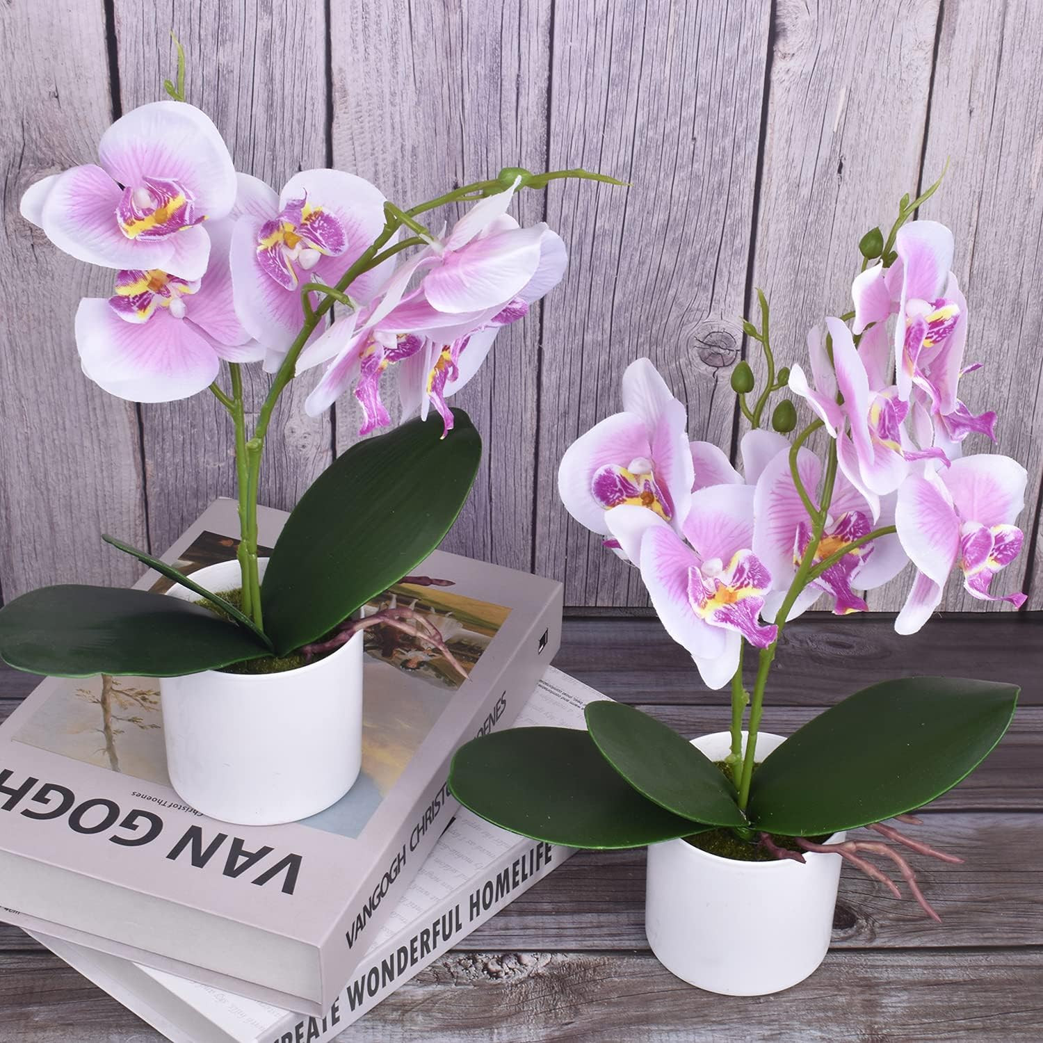 XONOR Artificial Orchid Flowers, 2 Pieces Potted Orchid Flowers with Plastic Vas